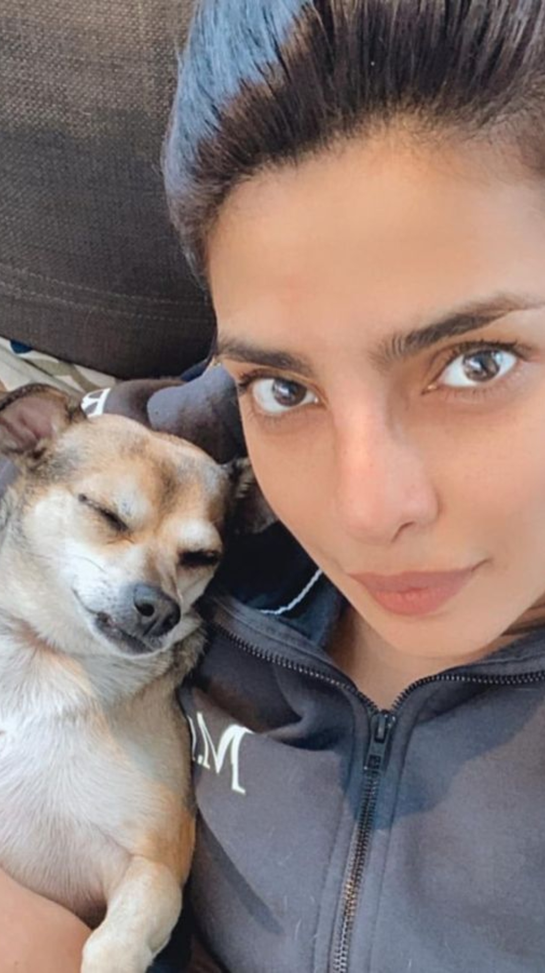 International Dog Day 2023: Bollywood celebs with their pet dogs