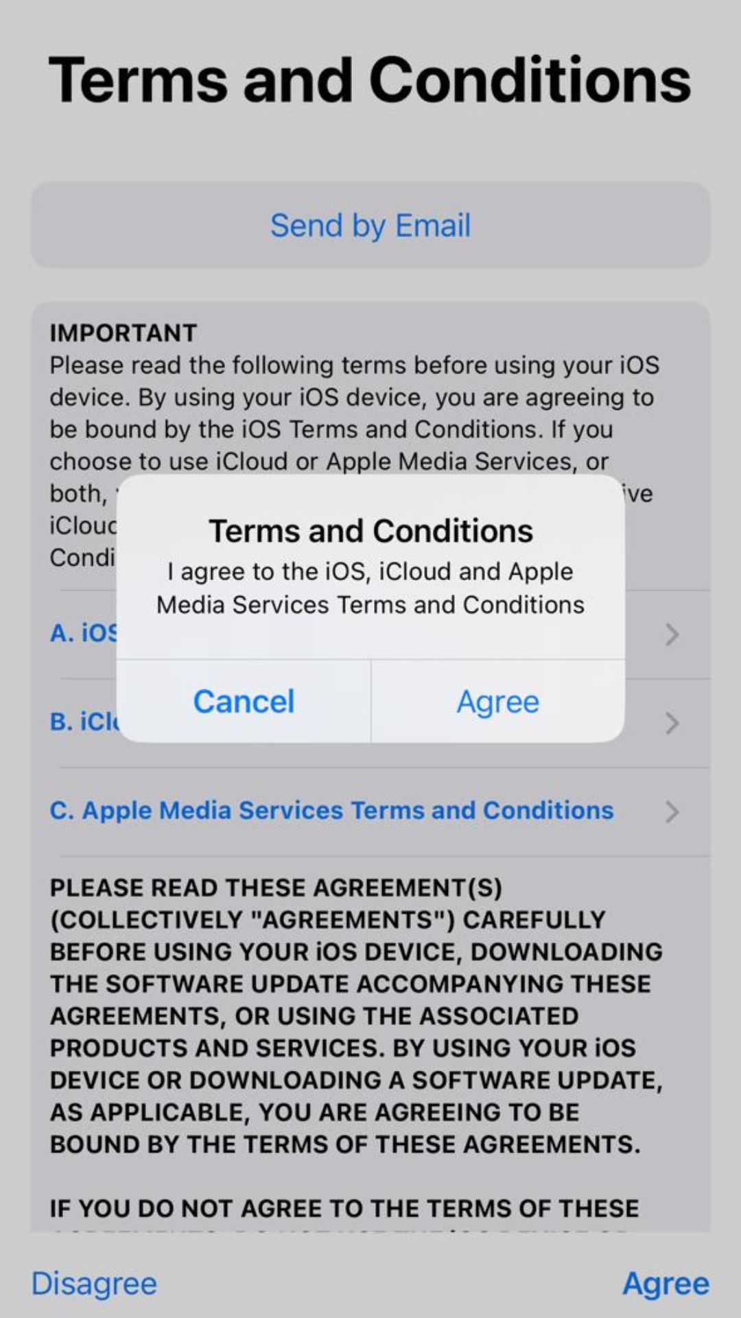 Apple iPhone Terms & Conditions 