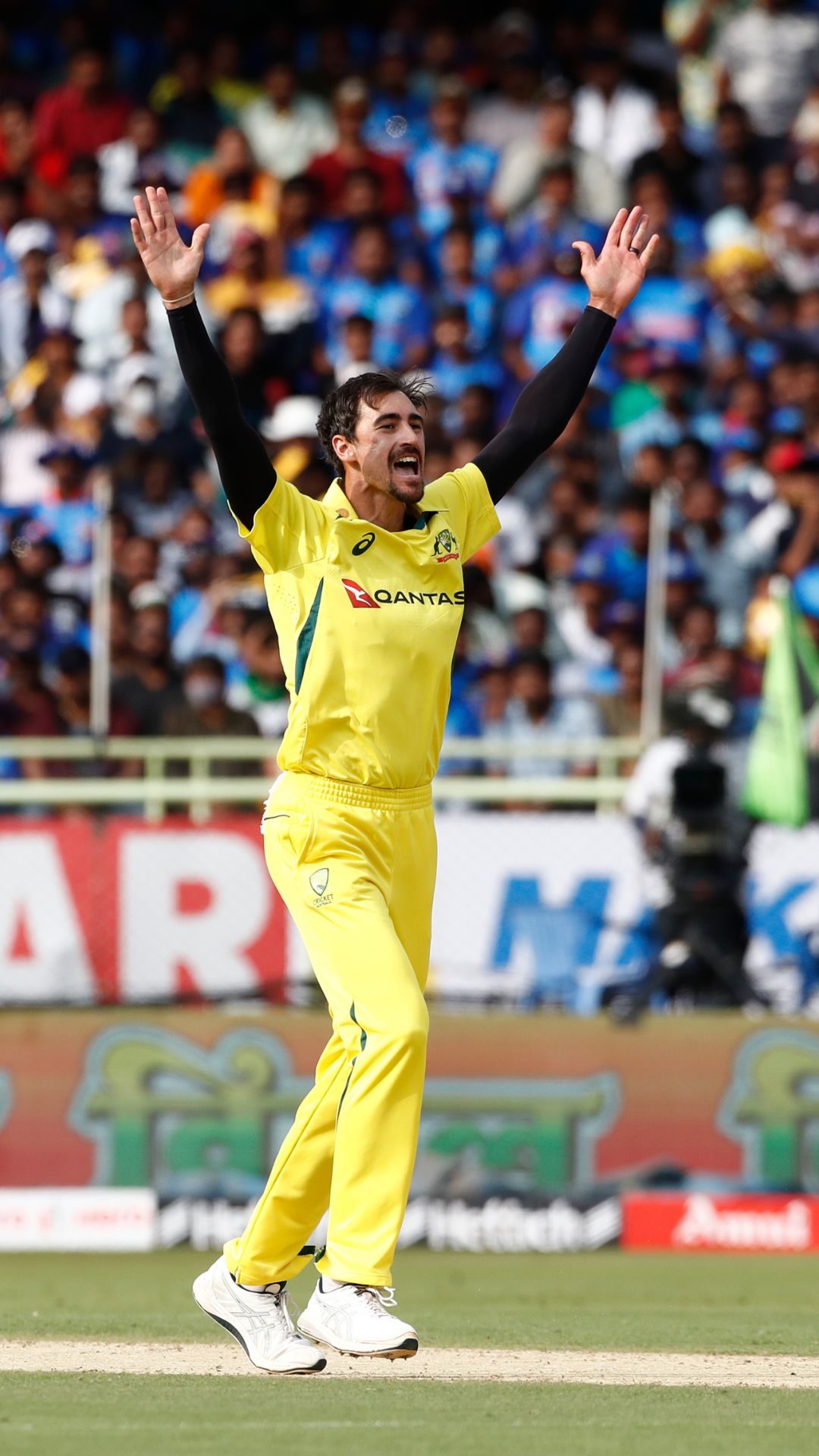 How has Mitchell Starc performed in IPL?