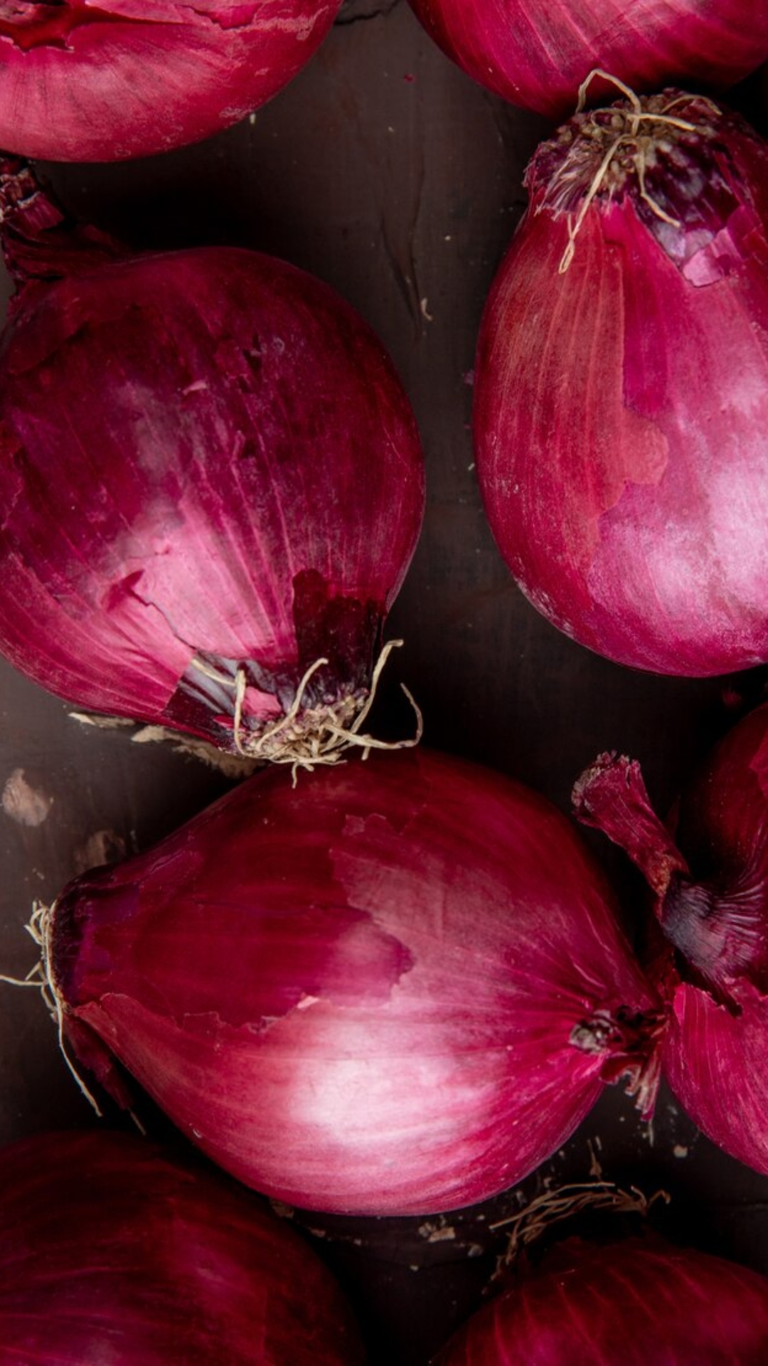 Red onions wallpaper - Photography wallpapers - #31818