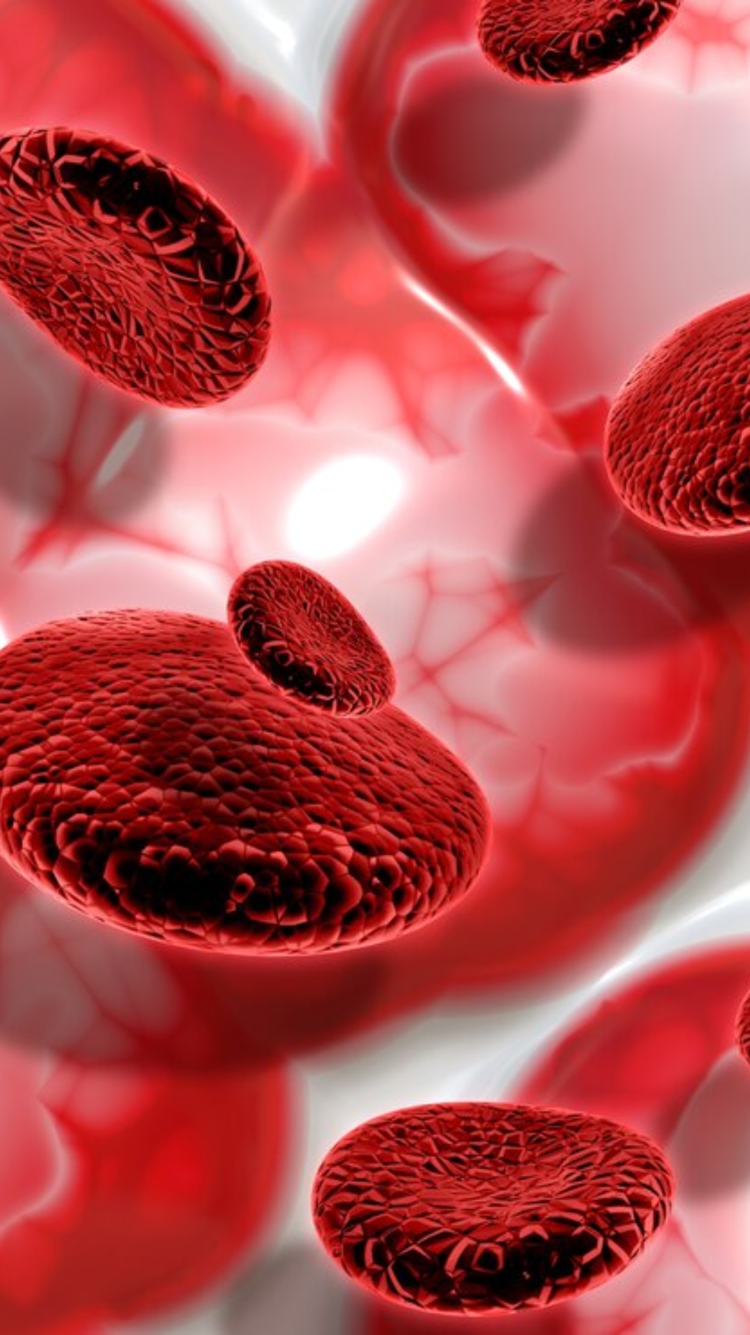 10 superfoods that help increase platelet count