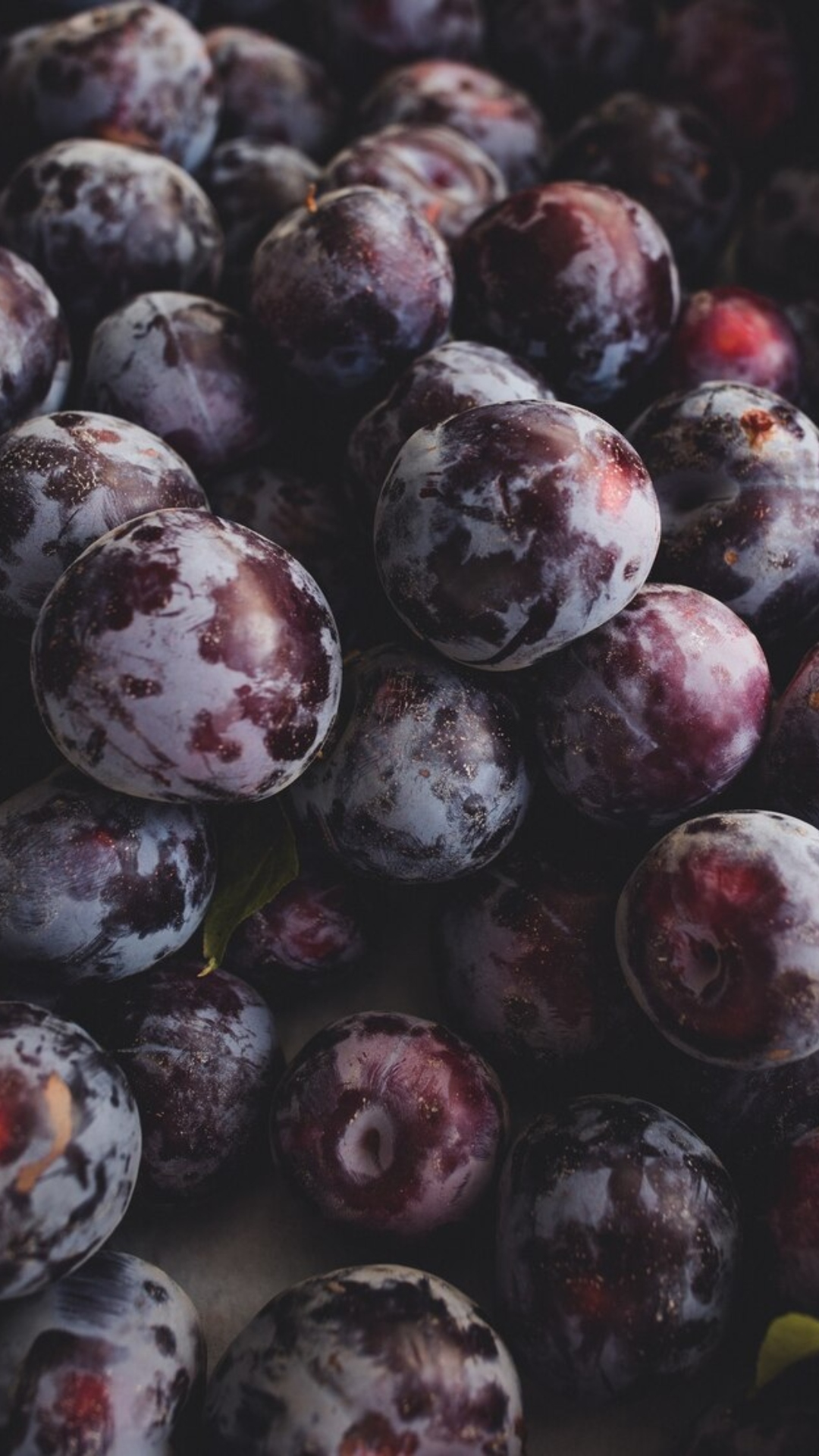 7 purple food to add to your winter diet