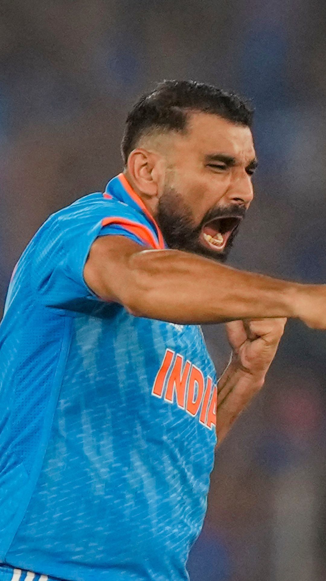 Mohammed Shami's wonderful World Cup 2023 campaign