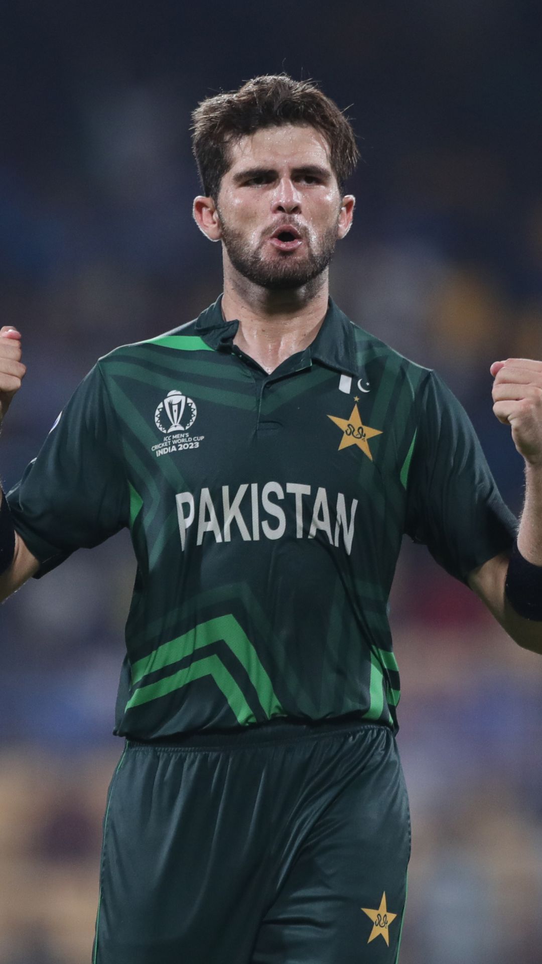 Players to claim most wickets in World Cup 2023, Shaheen surpasses Bumrah