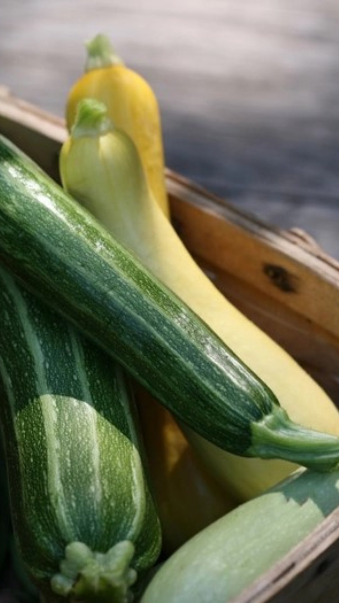 Inexpensive substitutes for Zucchini