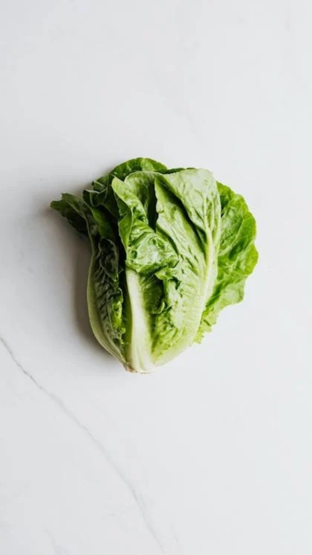 Inexpensive substitutes for lettuce