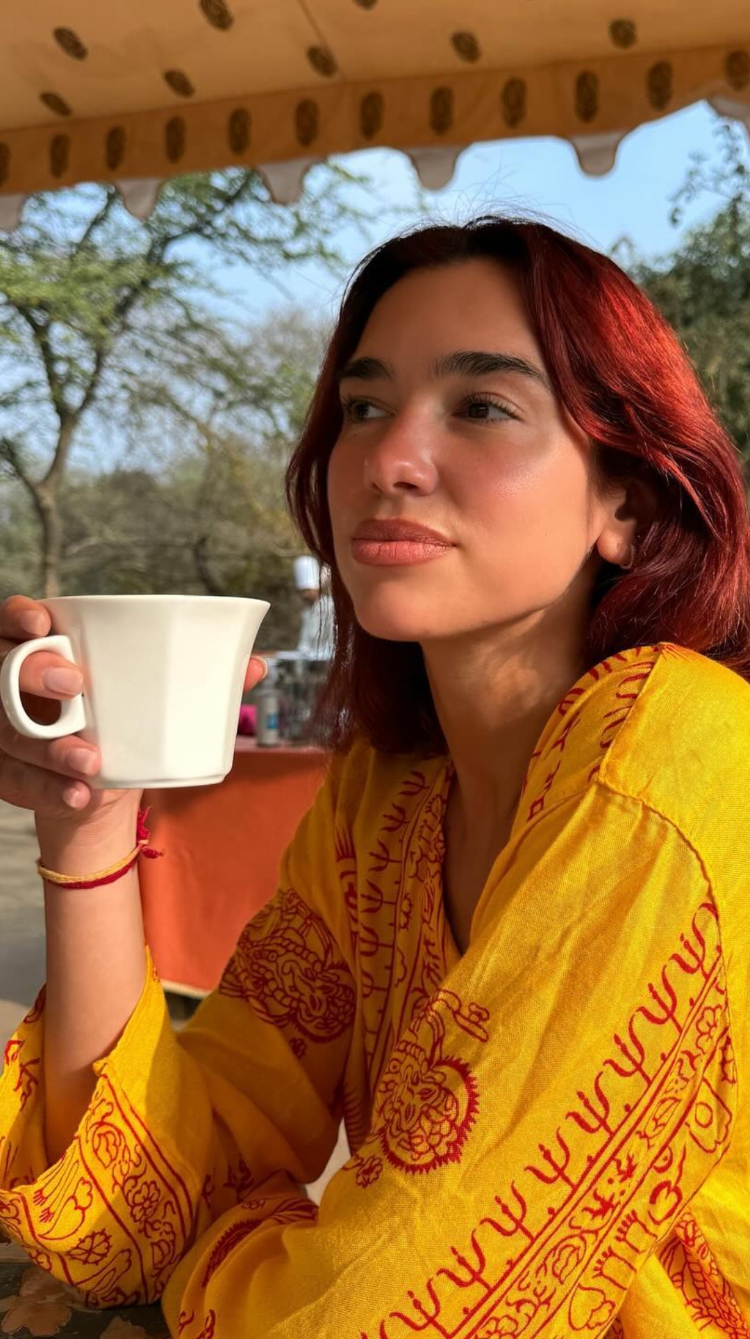 Dua Lipa's gratitude post as she ends her India trip | See here