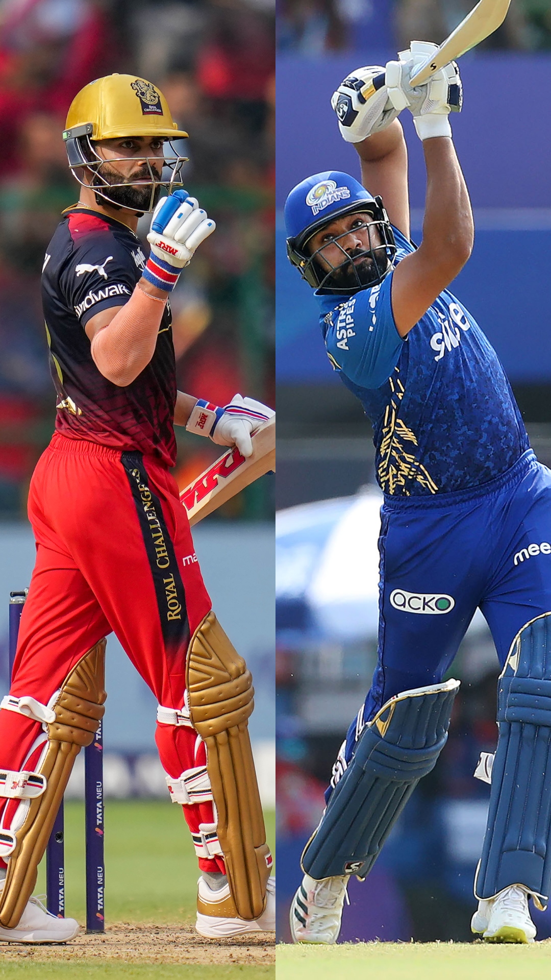 Most fifty-plus scores in IPL history, Virat Kohli, Rohit Sharma not on top