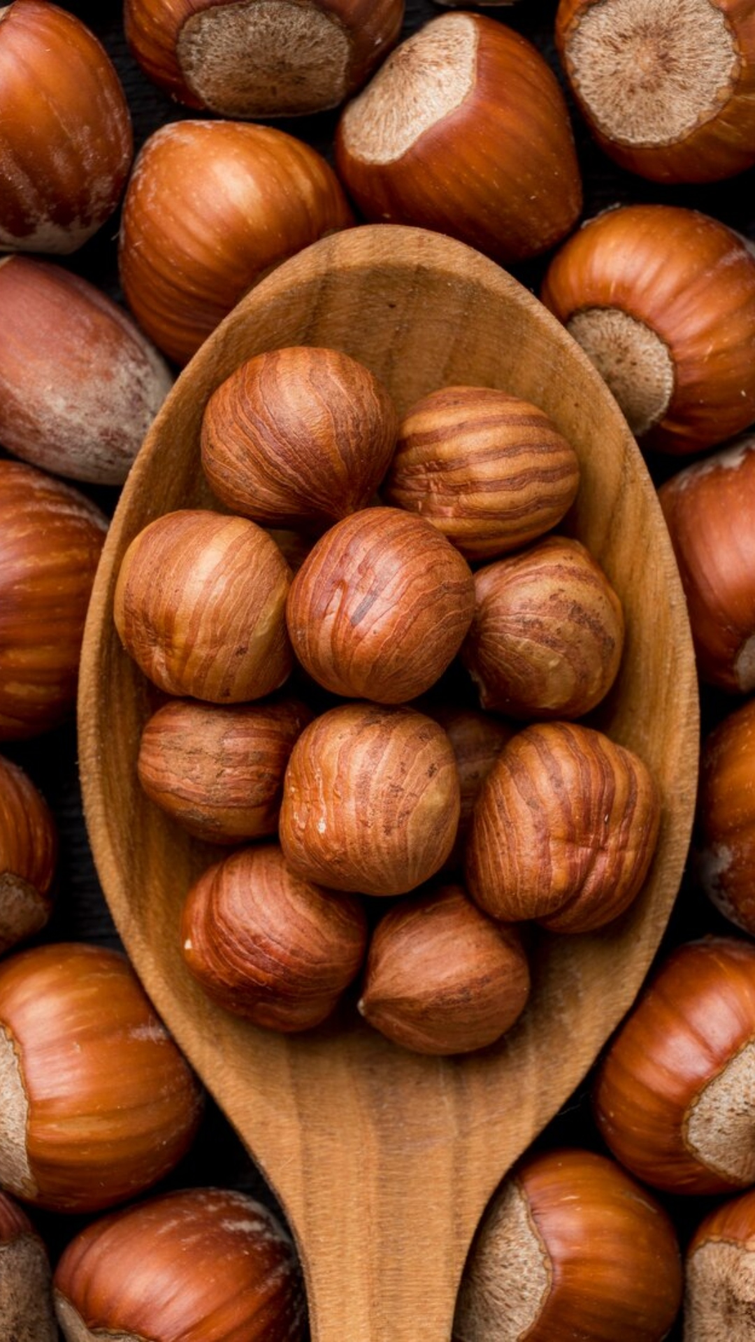 Inexpensive substitutes for hazelnuts