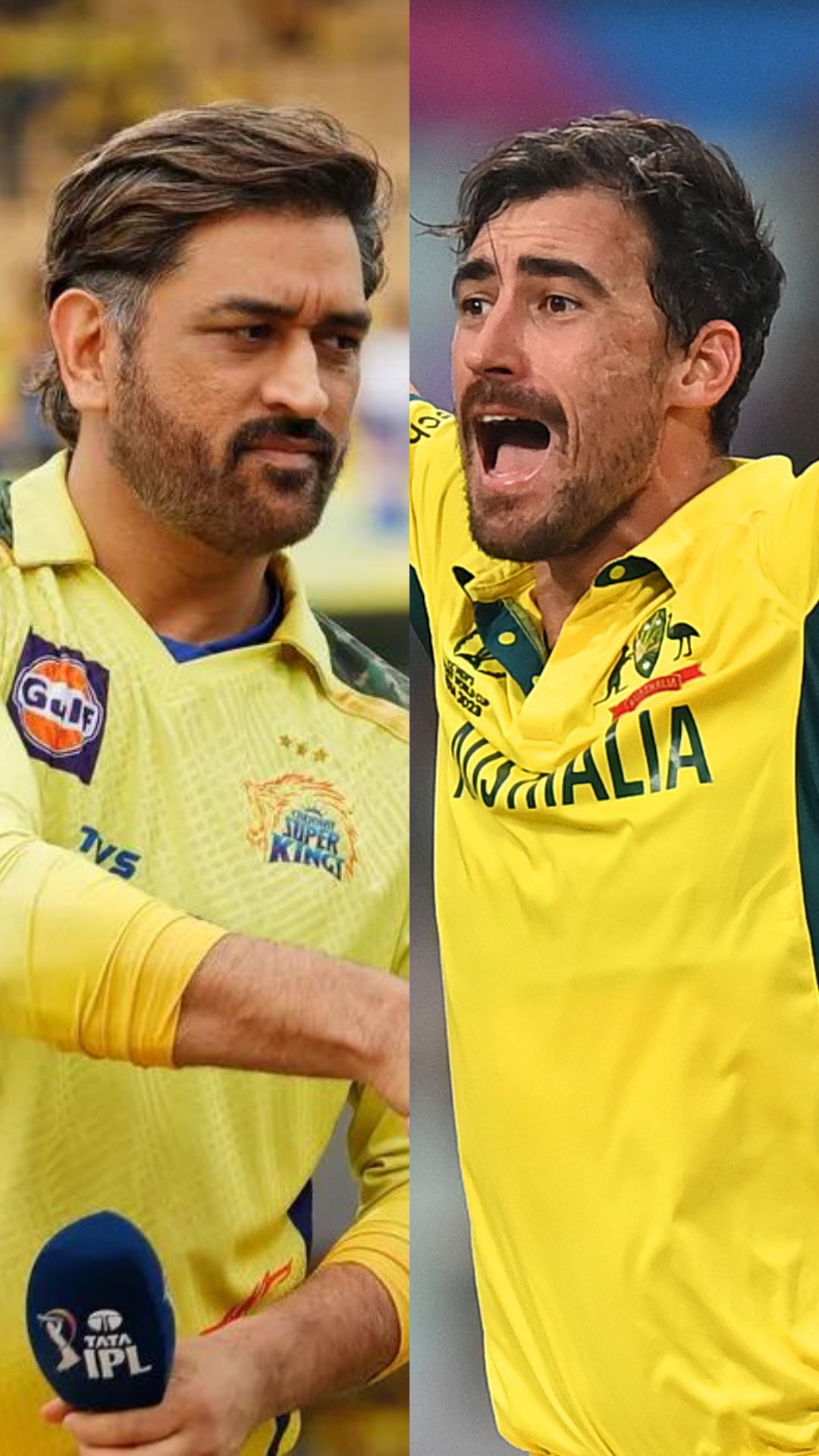 MS Dhoni to Mitchell Starc: Most expensive player of every IPL auction from 2008 to 2024