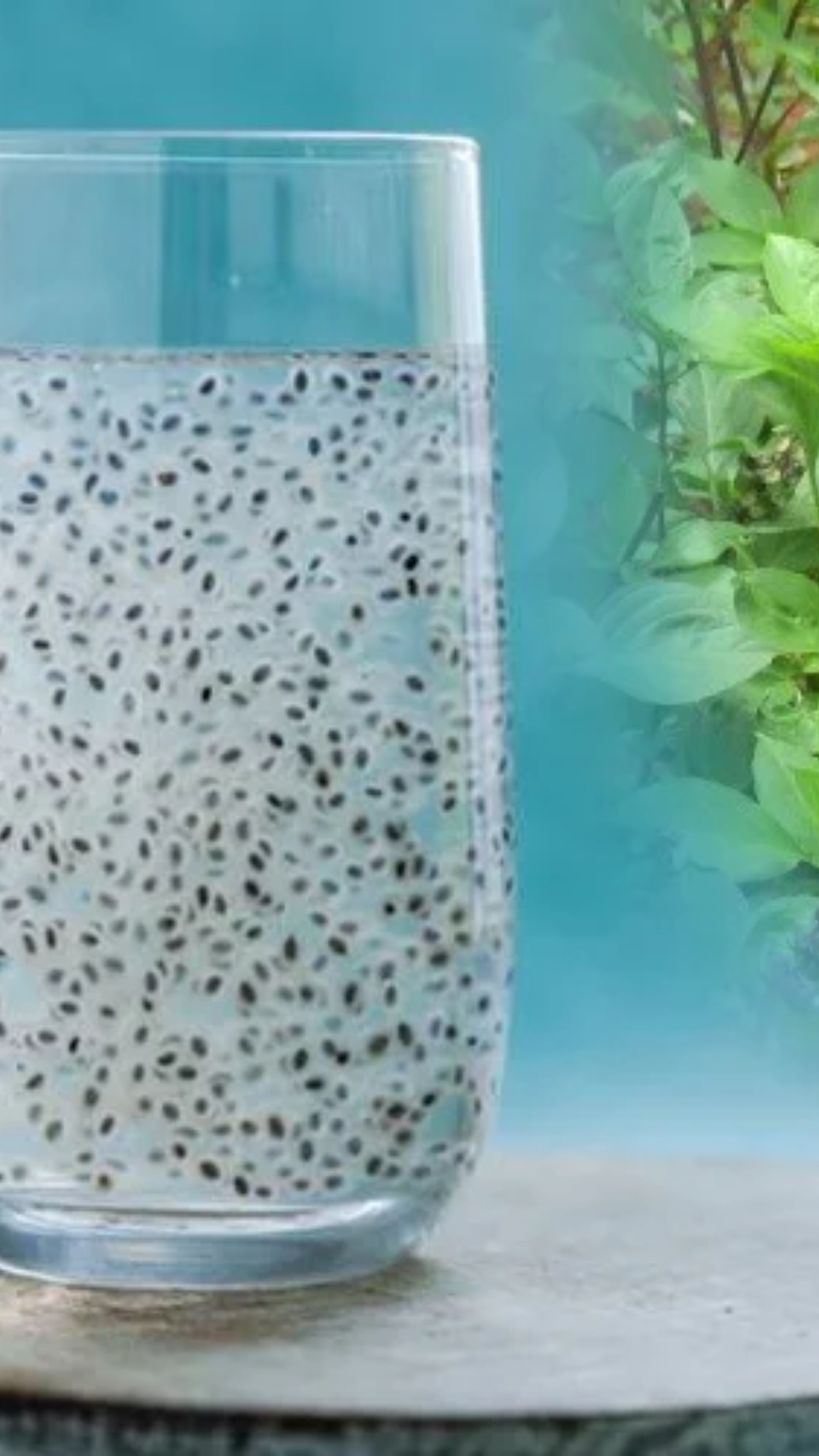 Benefits of basil seeds water on an empty stomach