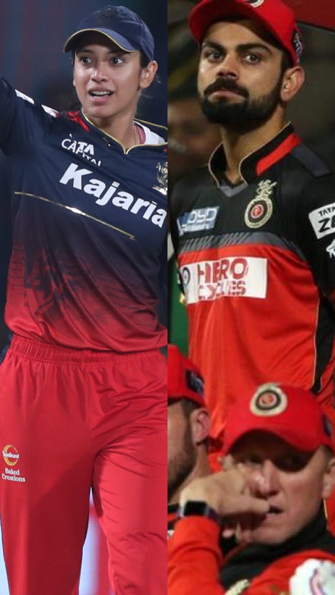 From 2016 to 2024, years in which RCB have reached in IPL/WPL finals
