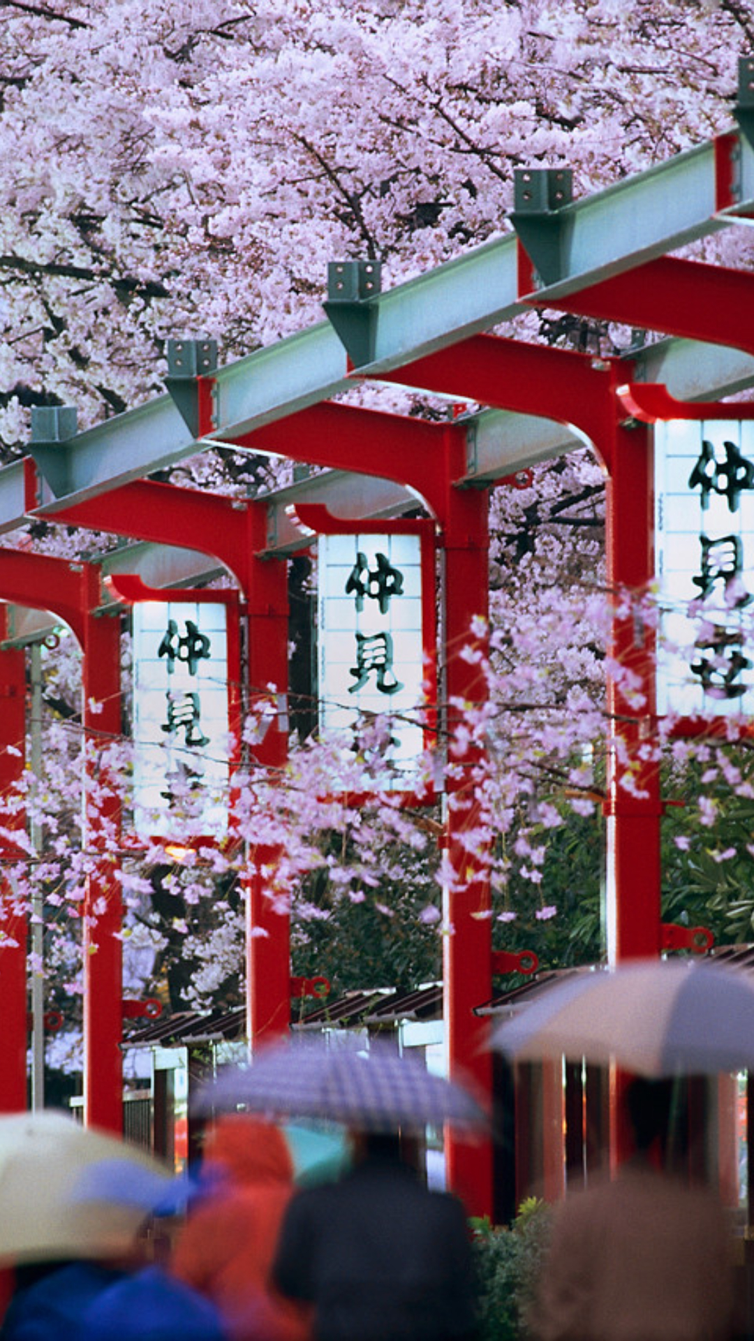 7 positive lessons to adopt from Japanese lifestyle
