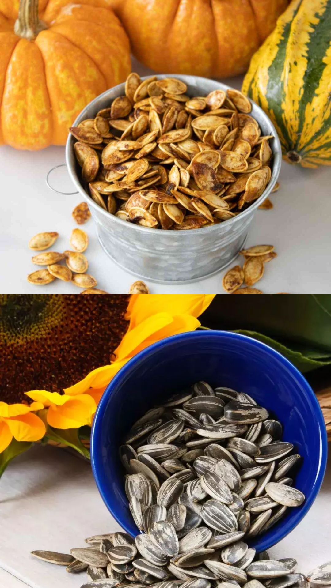5 seeds that help in quick weight loss
