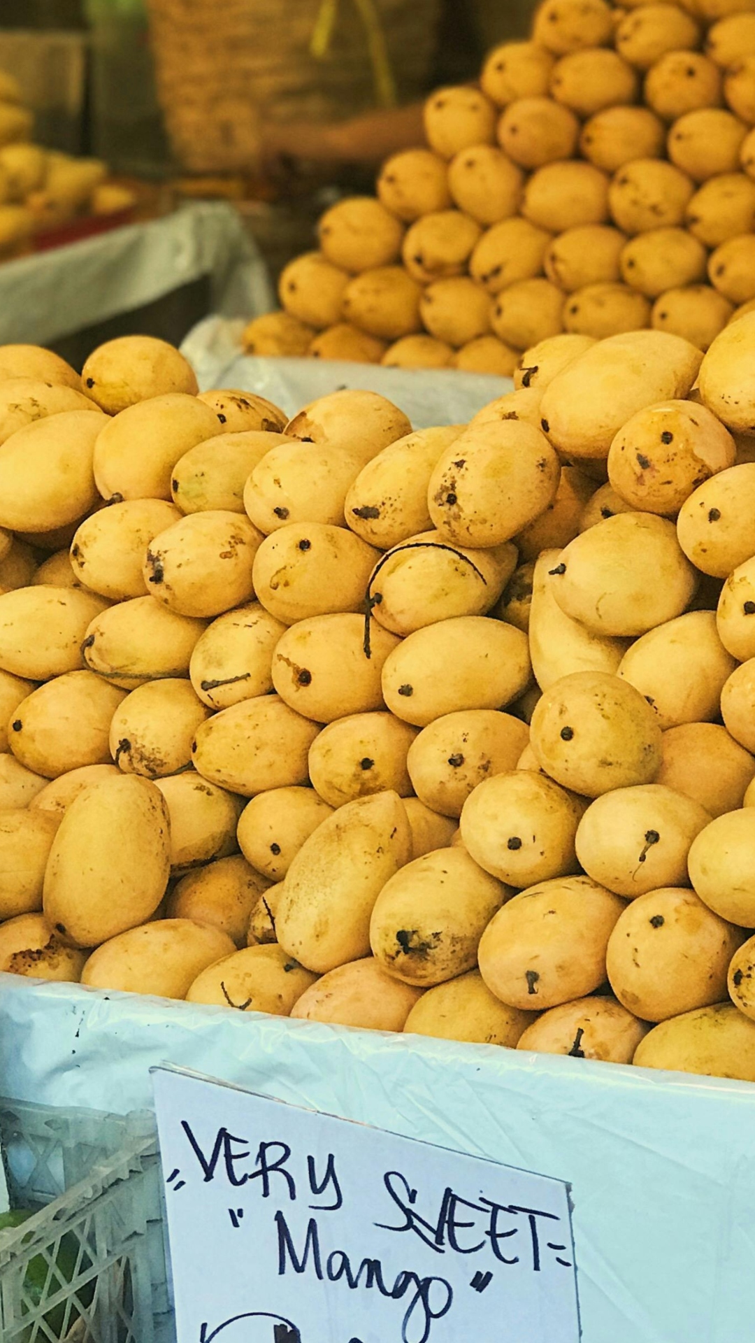 Kesar to Malgoa: 10 Mango varieties of India