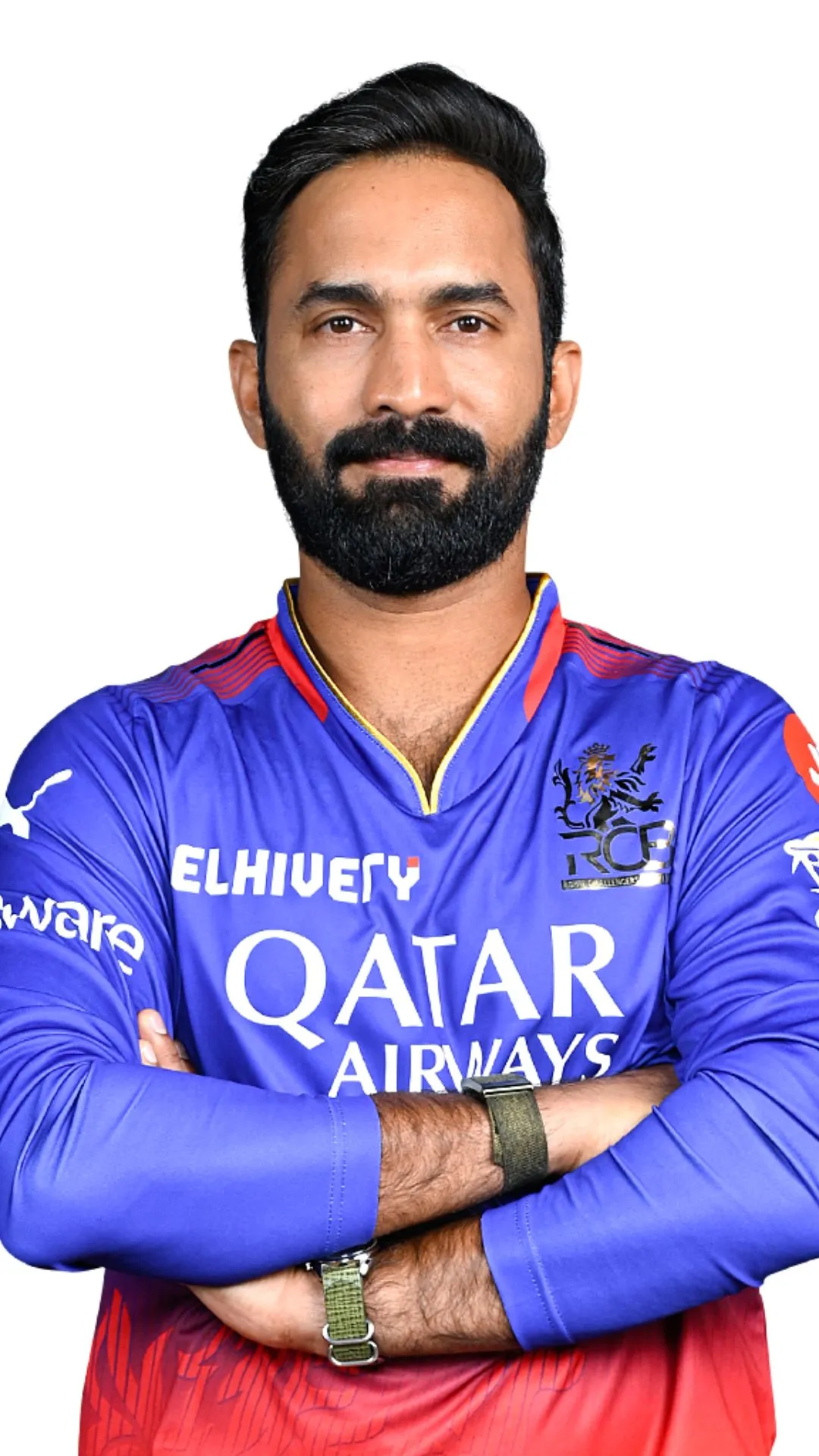 Dinesh Karthik's IPL career in numbers