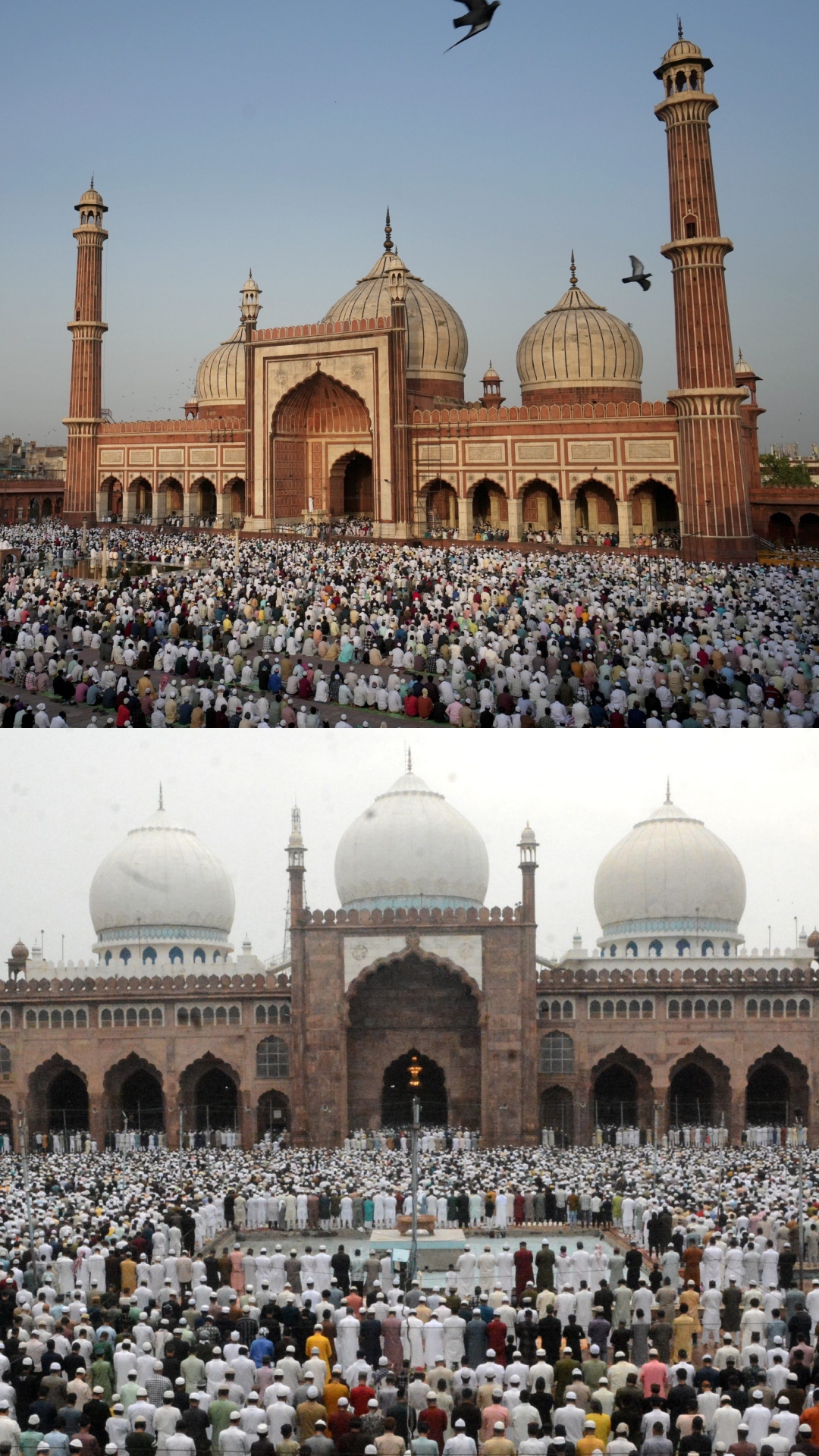 Eid-ul-Adha 2024: A look at Bakrid celebrations in India