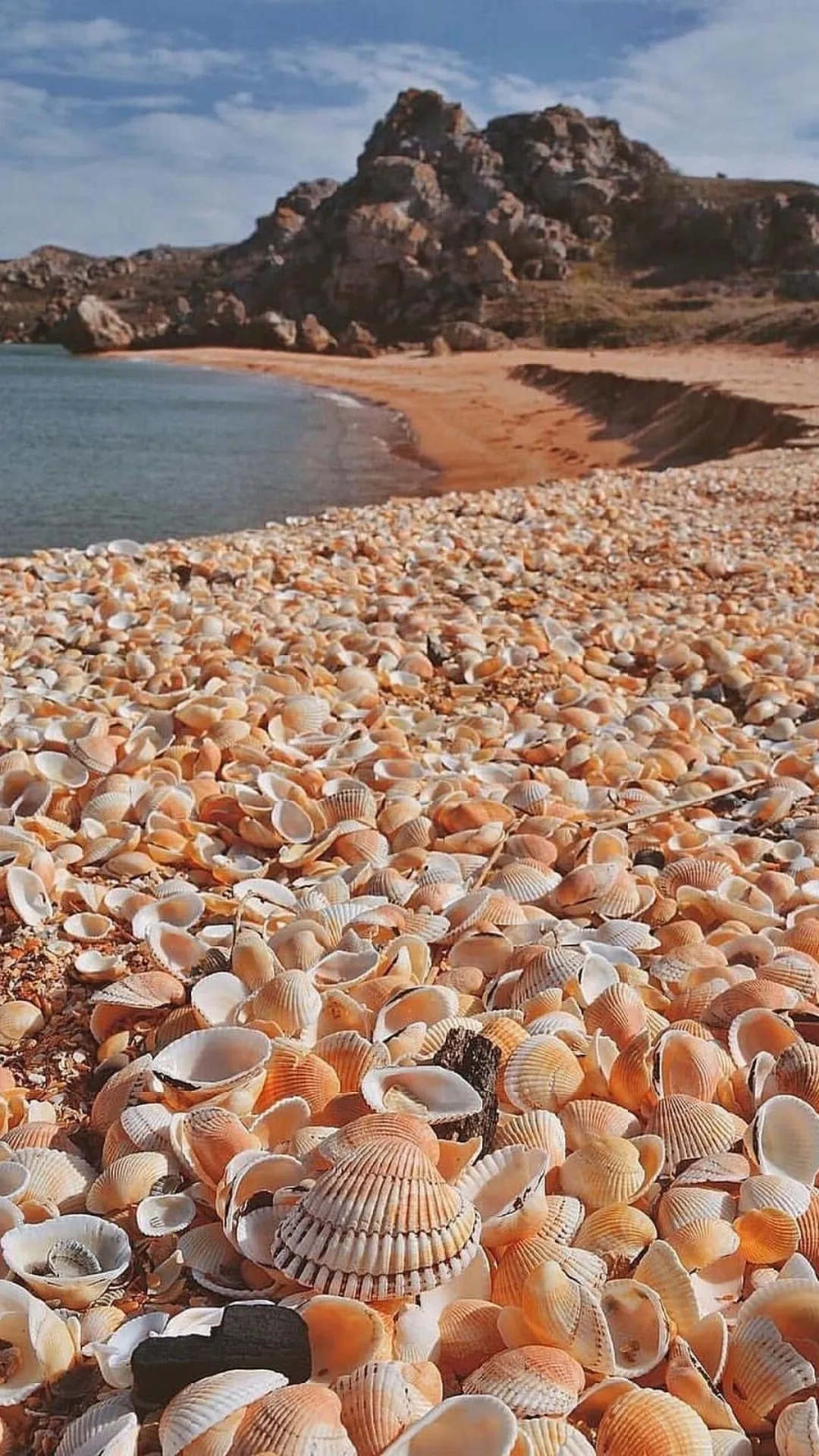 5 Indian beaches famous for their beautiful seashells