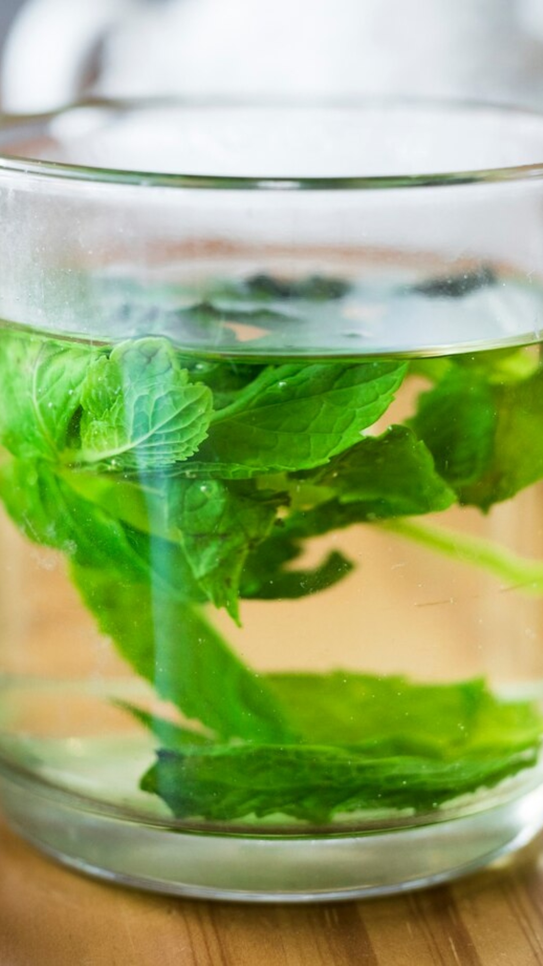 5 benefits of drinking Tulsi water 