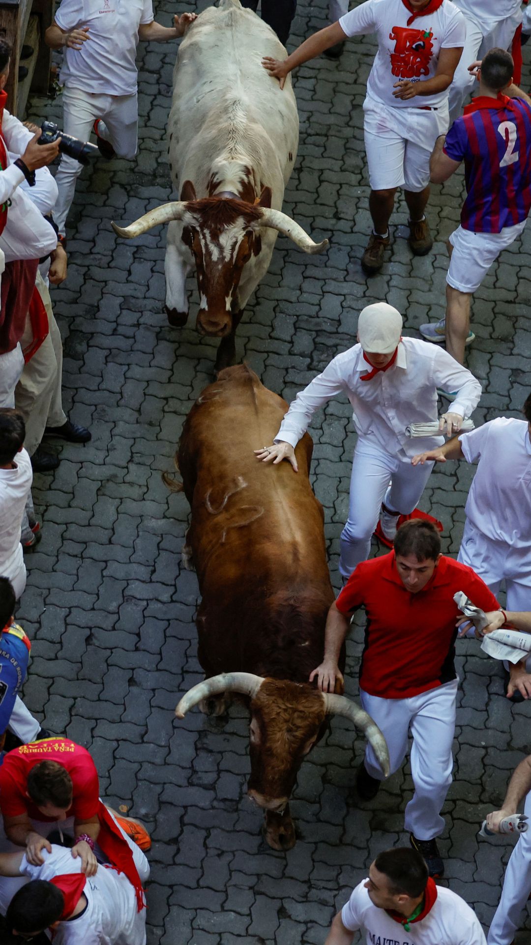 Spain's controversial San Fermin bull-running festival | IN PICS 

