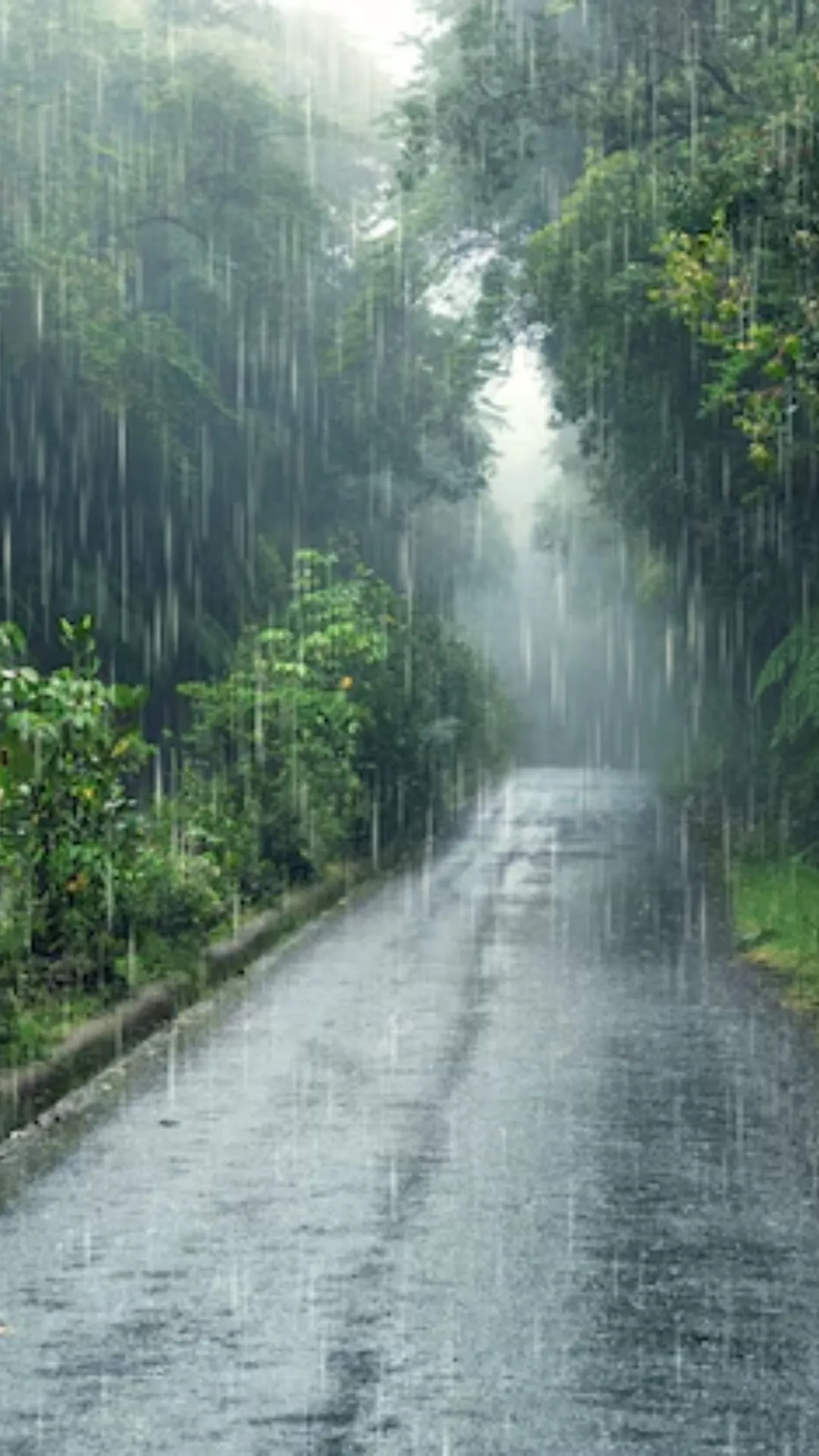 Where is the rainiest place in India?
