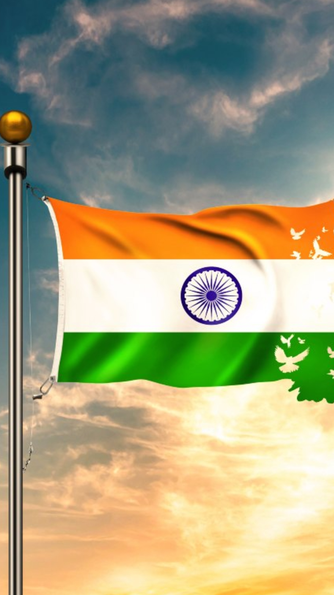 Independence Day 2024 5 lesserknown facts about the National Flag