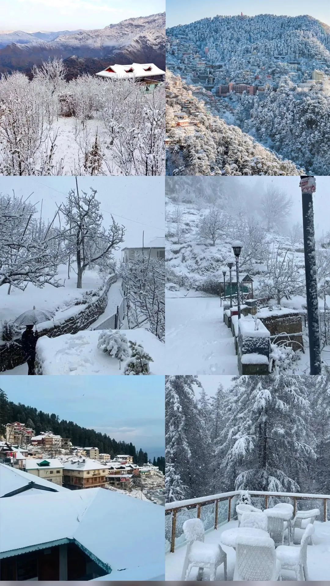 Shimla adorned with snow: Check stunning pics