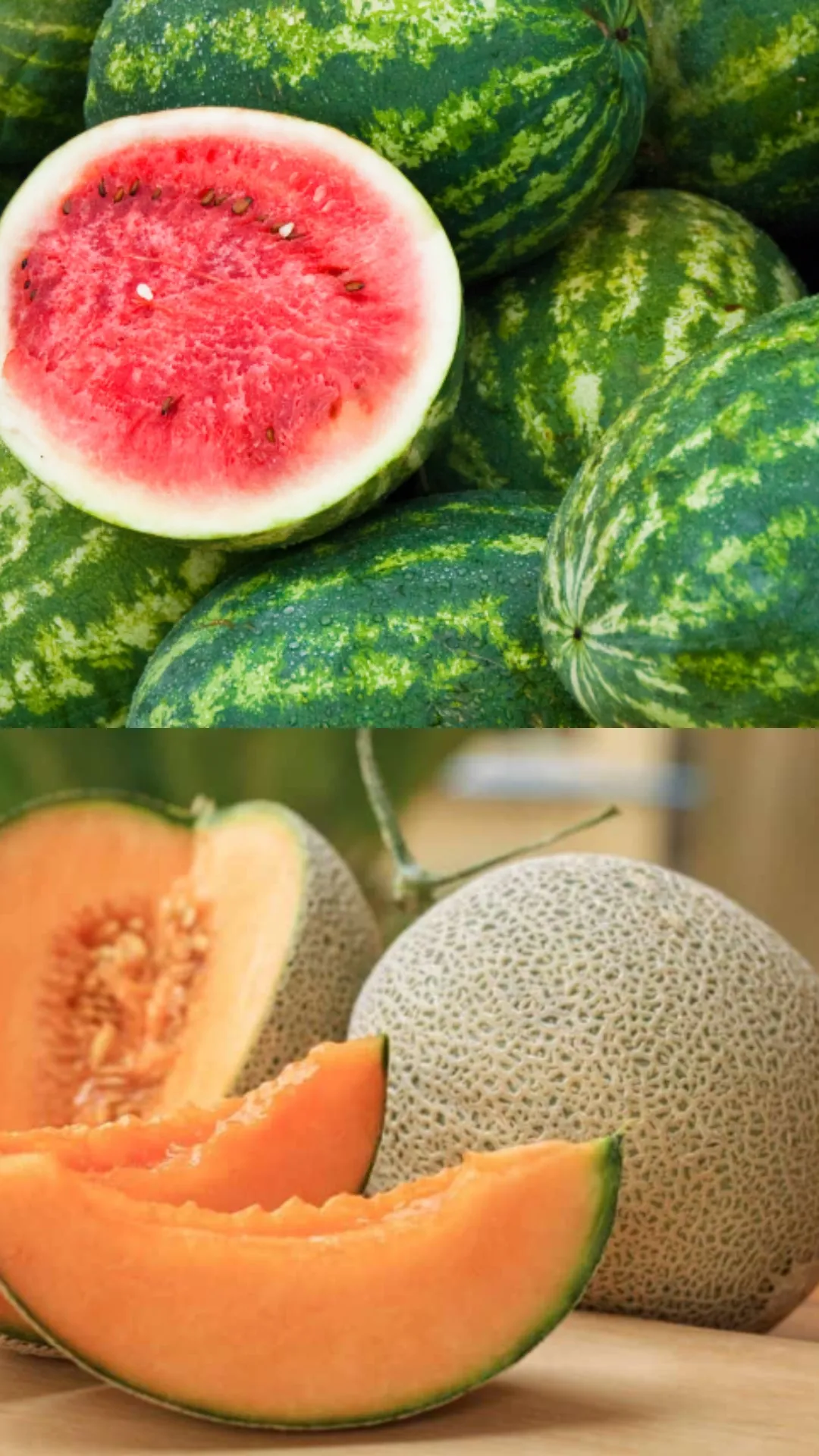 Watermelon vs Muskmelon: Which is good for diabetics?