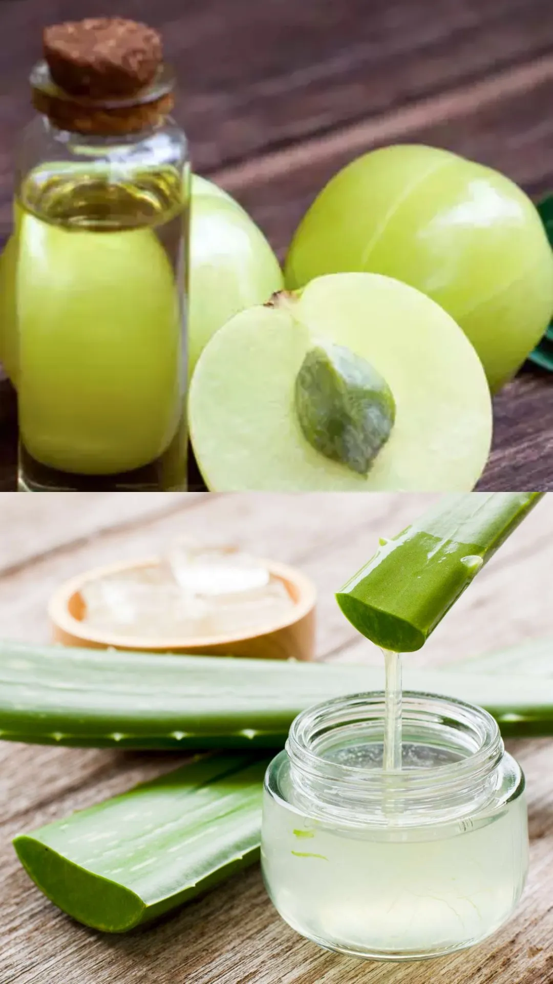 Amla vs Aloe Vera: Which is better for hair growth?