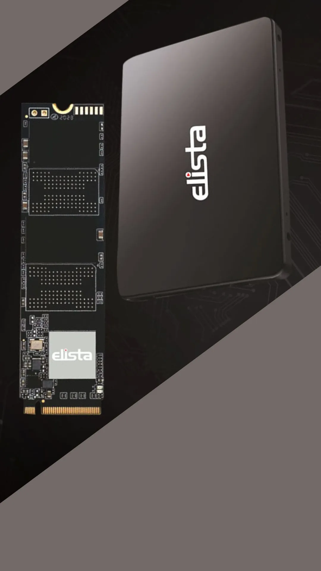 Elista unveils high-performance SSDs for Indian consumers