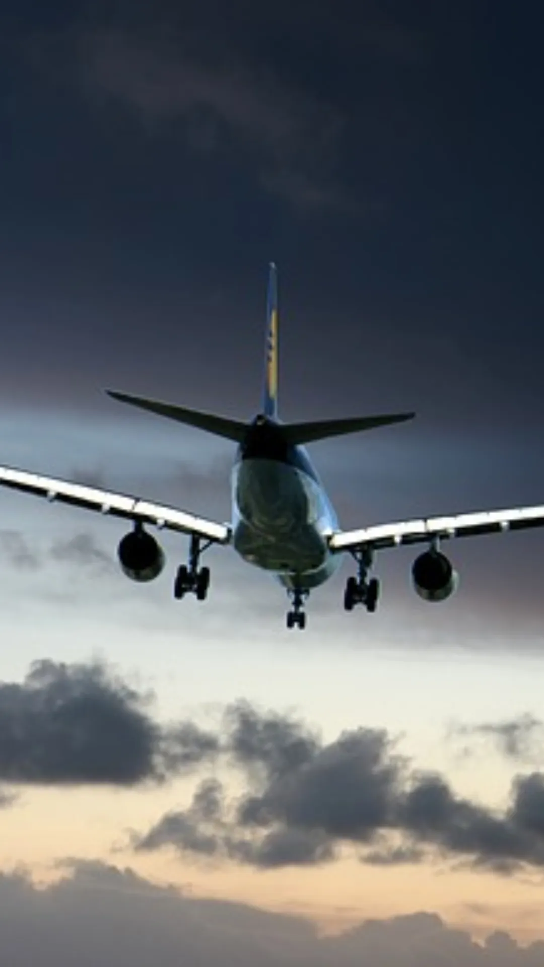 From IndiGo to Air India Express, check number of operational aircraft these domestic airlines have