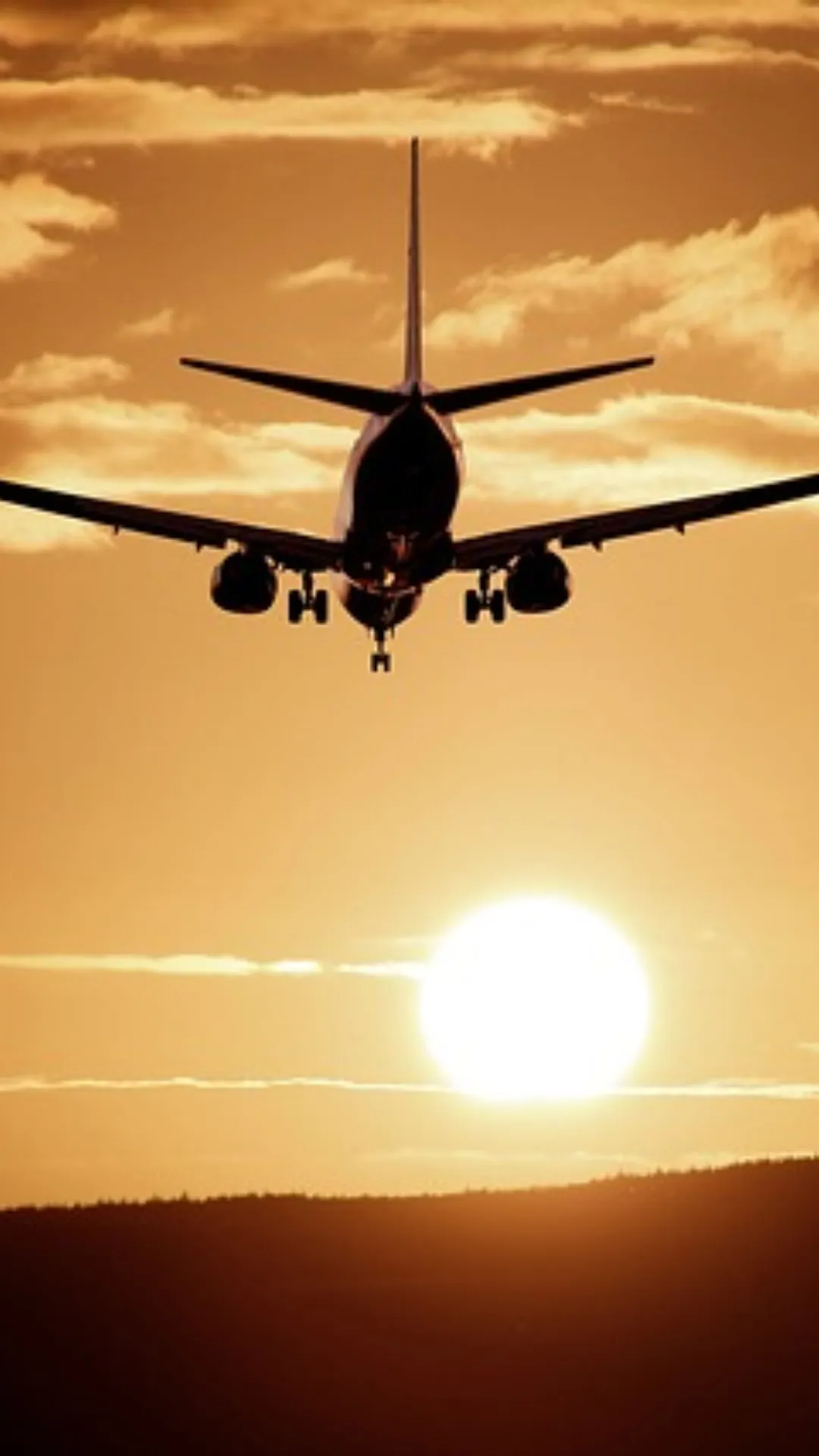 Indian carriers have placed orders for a total of 1,359 new aircraft in the previous two years.
