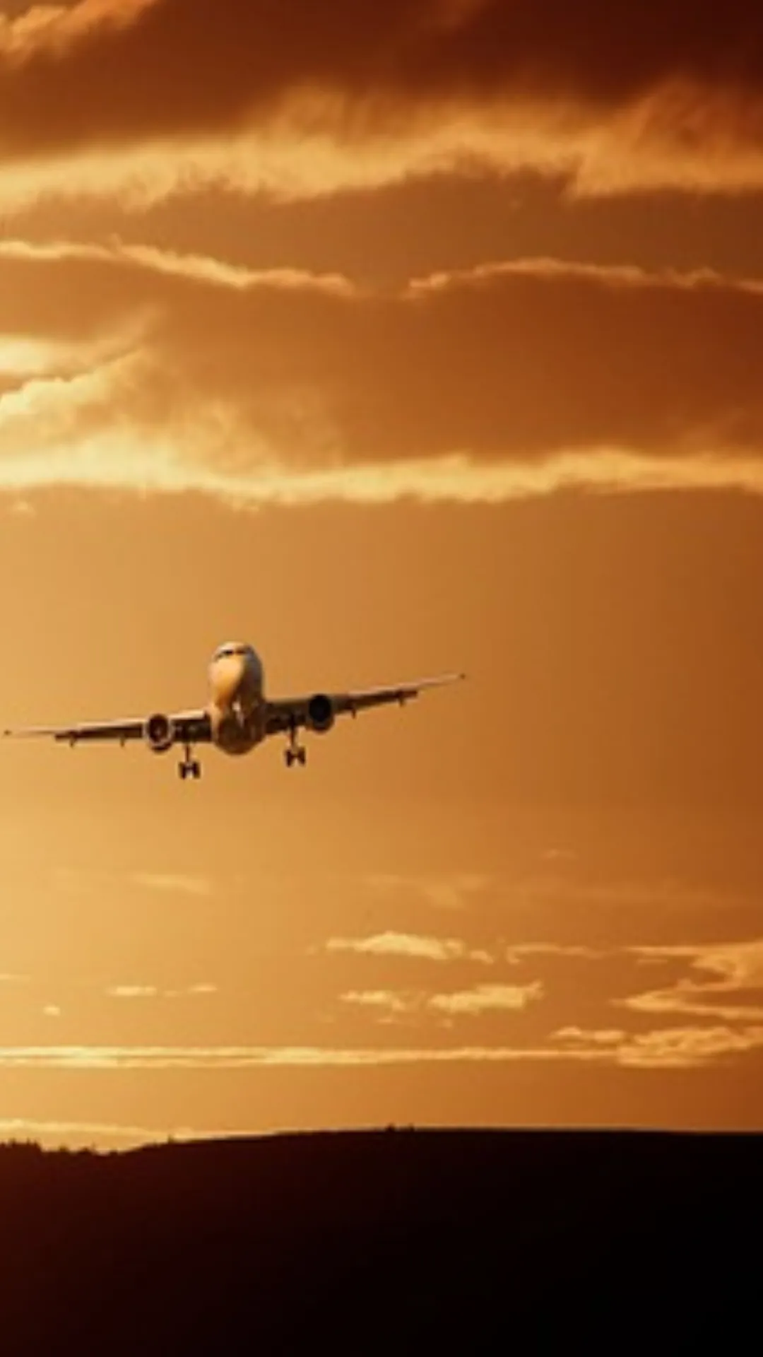Domestic airlines have a total of 813 aircraft in the fleet, out of which 133 are grounded.