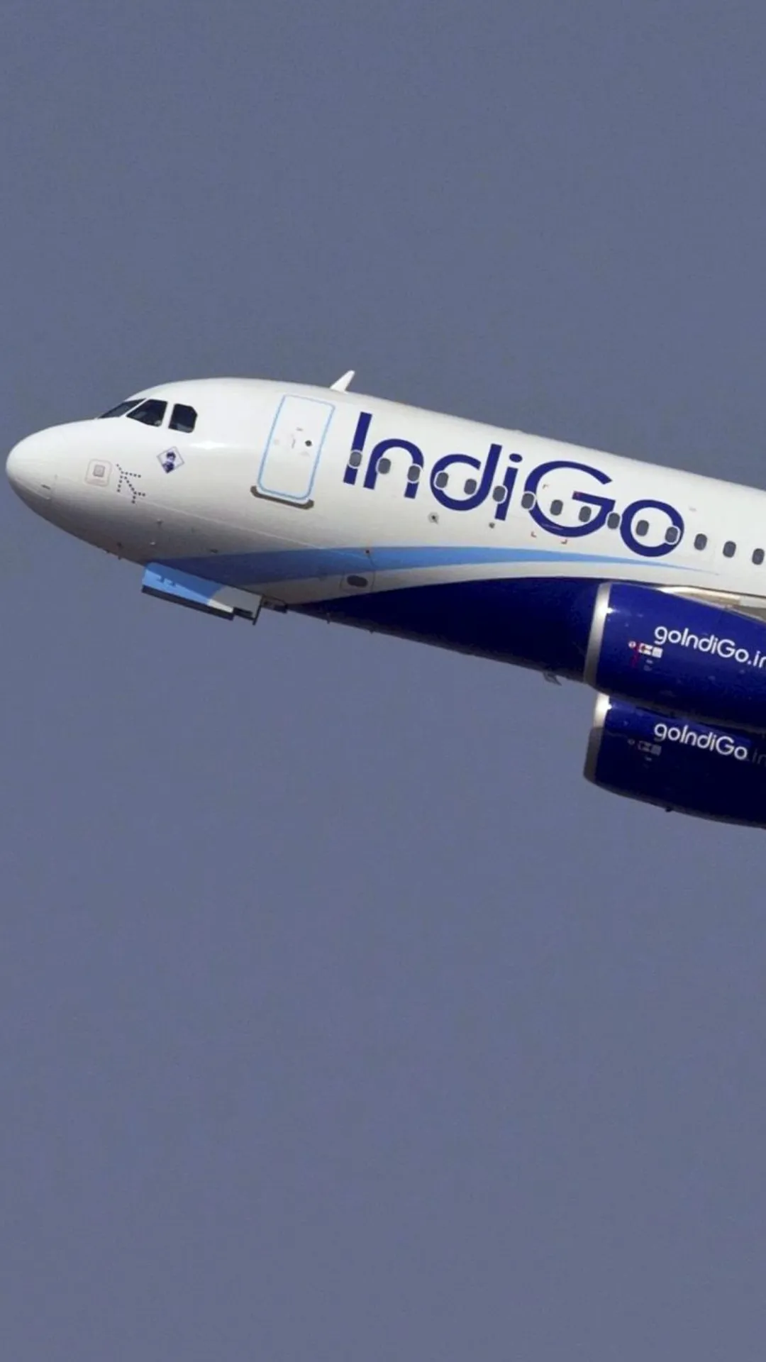 IndiGo has 319 aircraft in its fleet.
