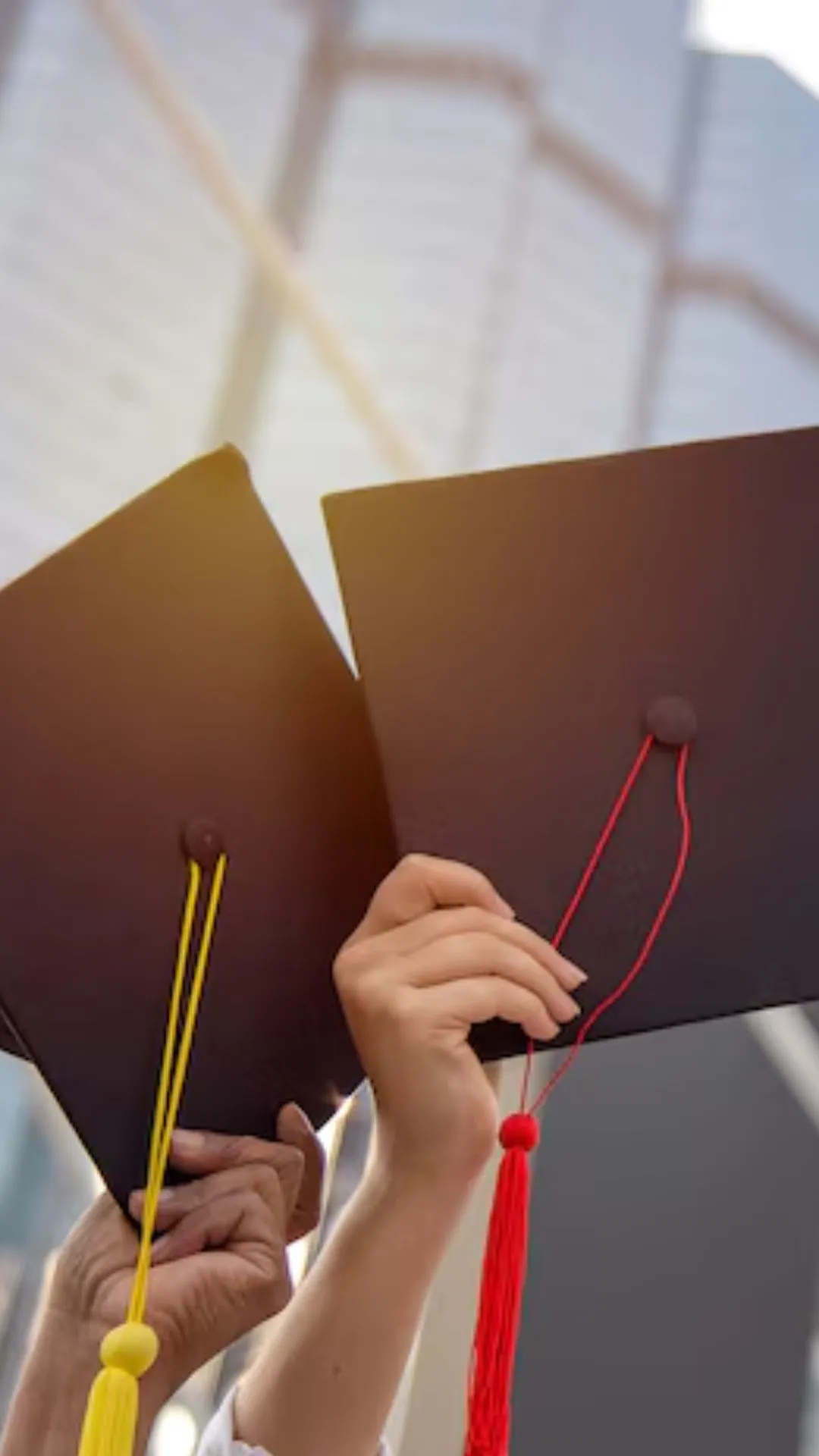 Which is the number one university in India?