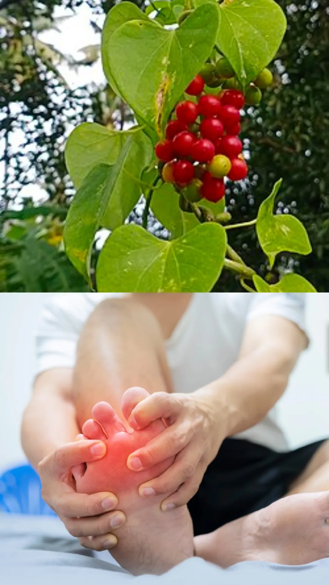 5 Ayurvedic medicinal leaves to lower uric acid levels