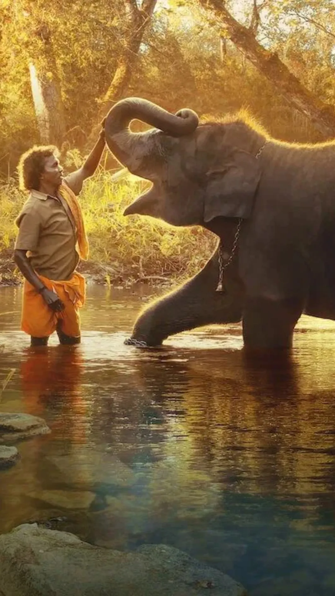 5 must-watch Oscar-winning documentaries on OTT