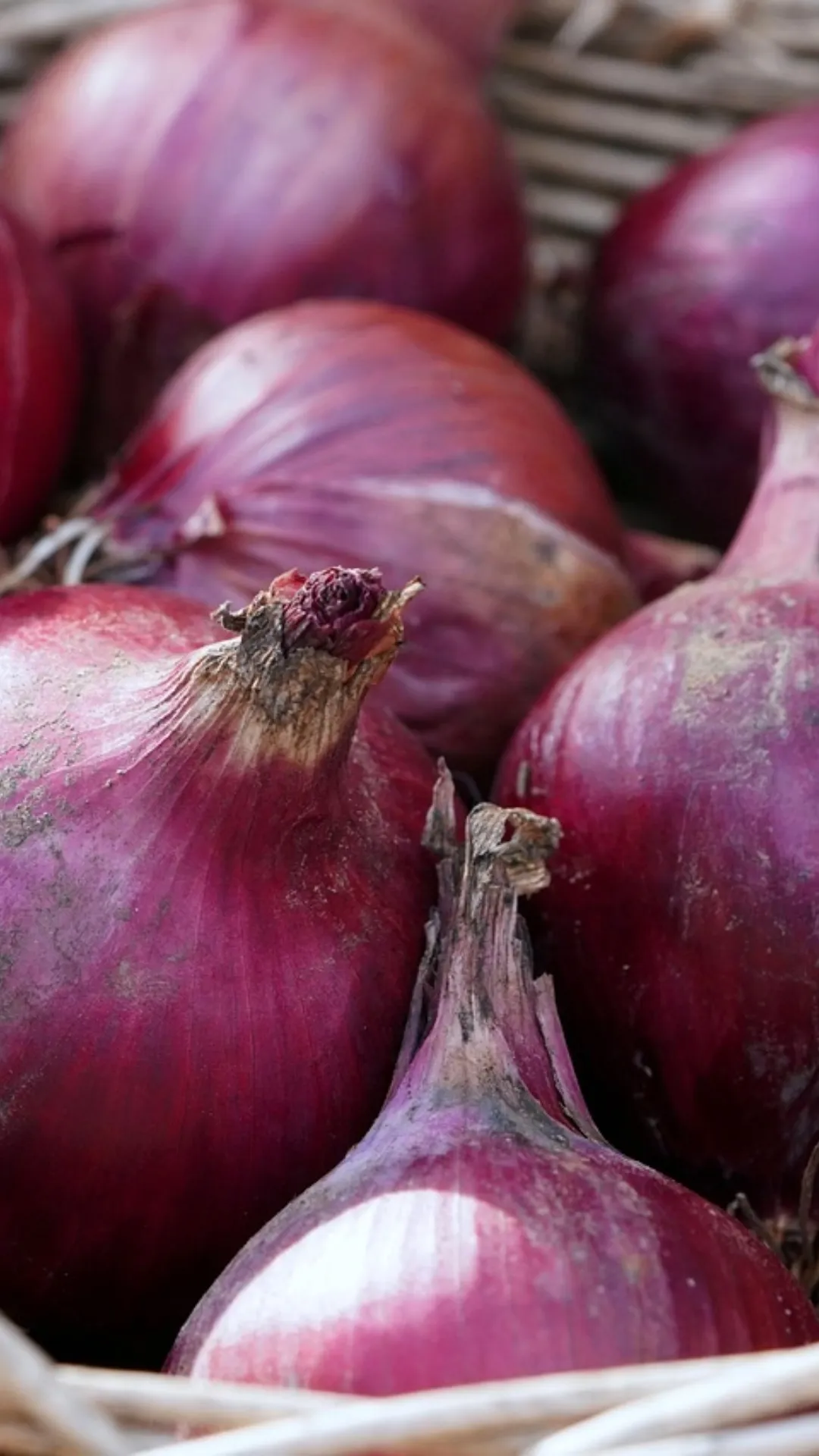 India's only town where onions are completely banned