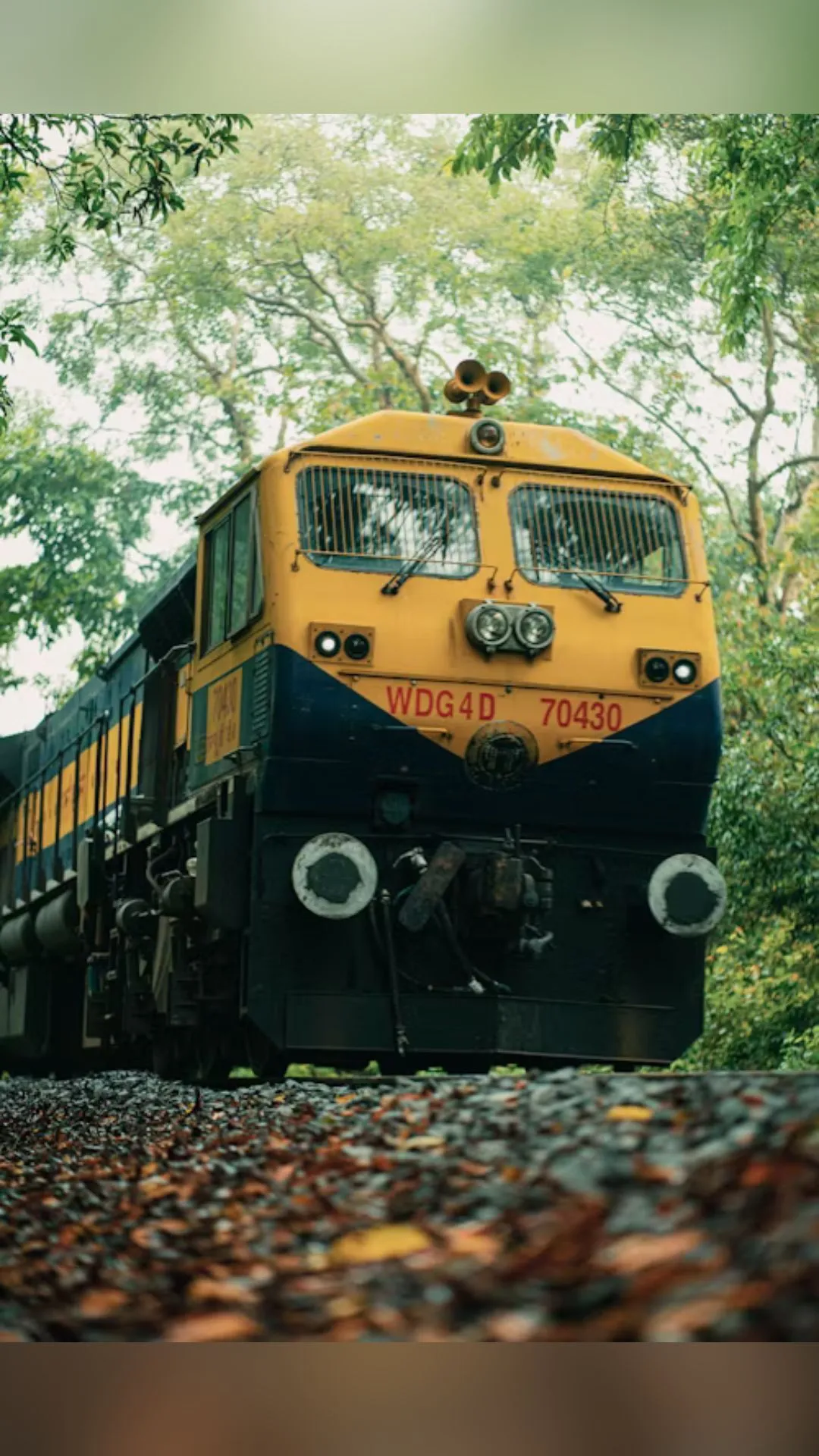 What does NOSB on train tickets mean?