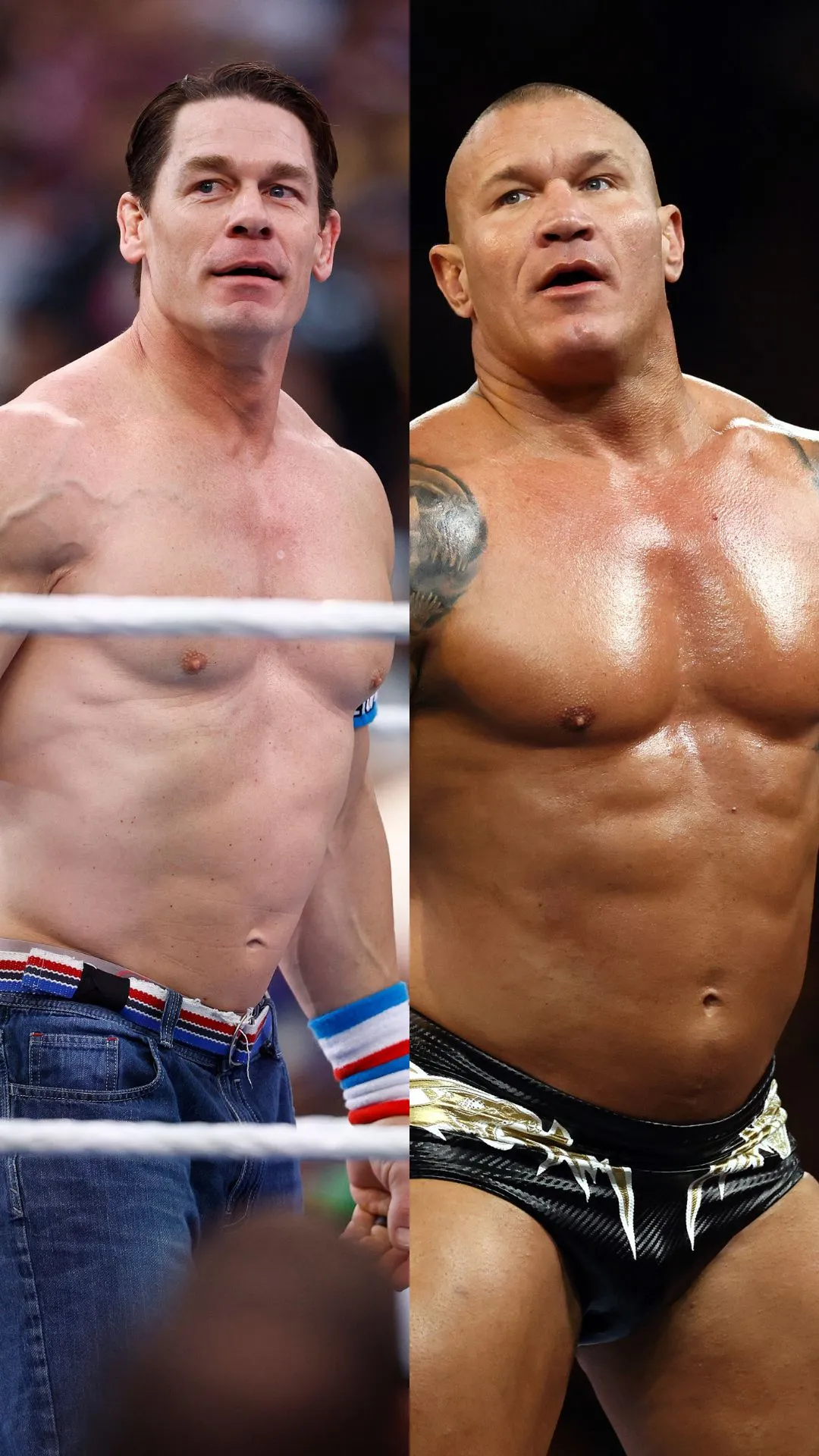 Wrestlers with most WWE title reigns