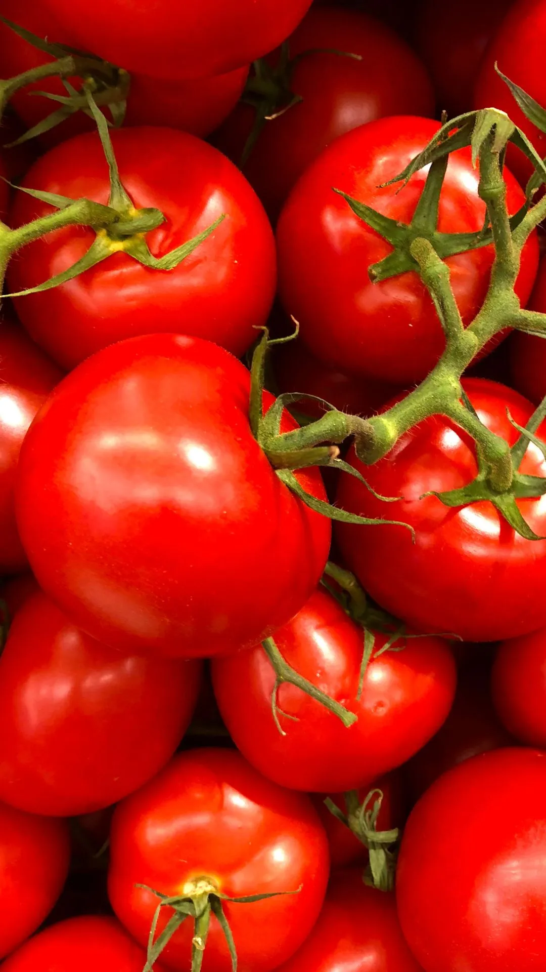 5 things happen when you consume too many tomatoes