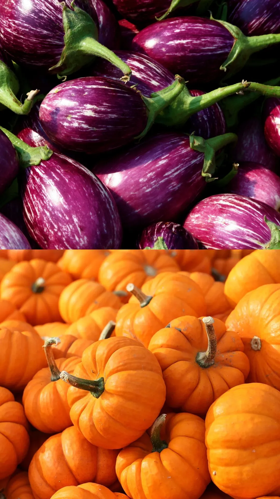 Brinjal vs pumpkin: Which one forms more gas?