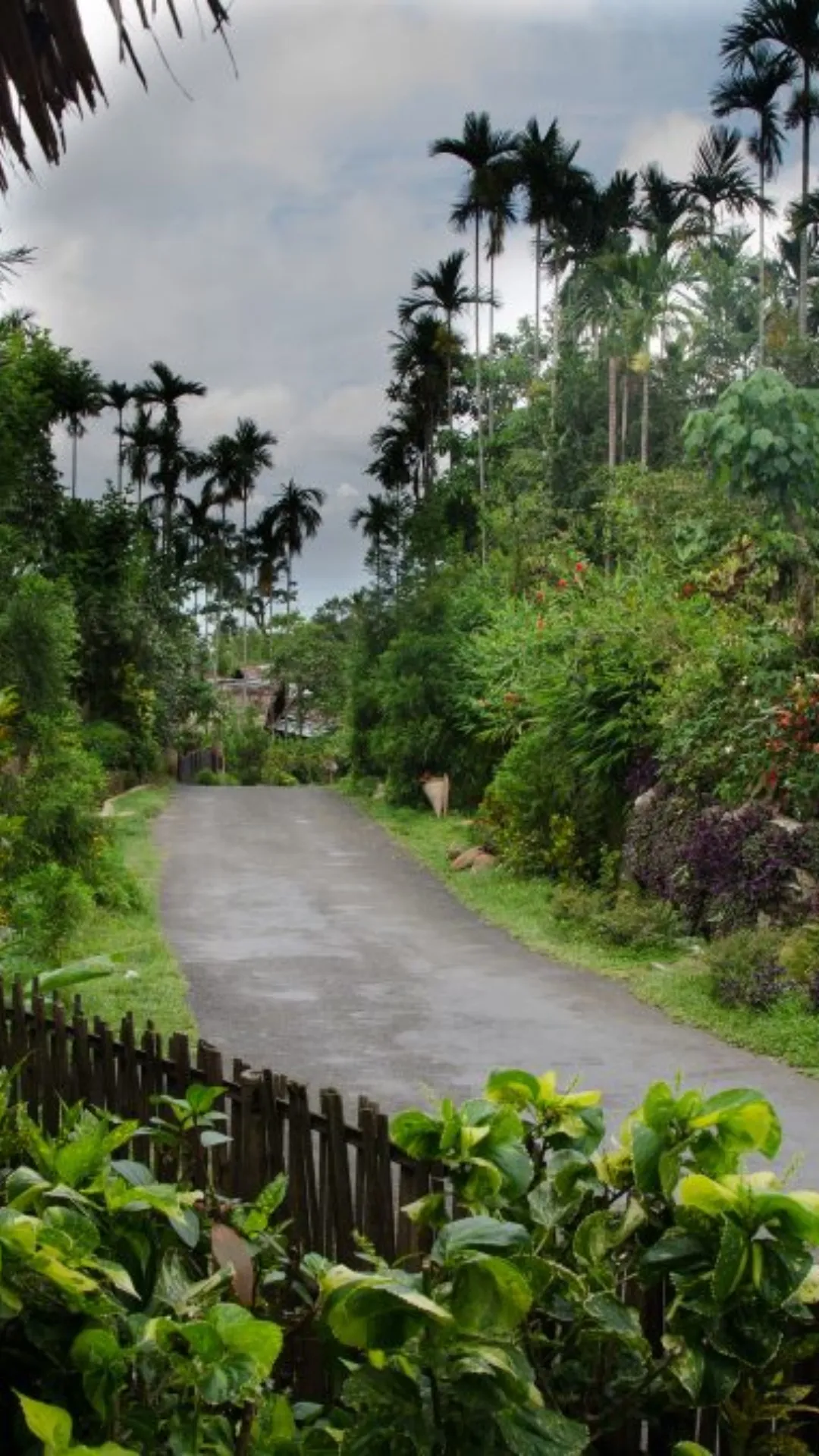 Which is the cleanest village in world?