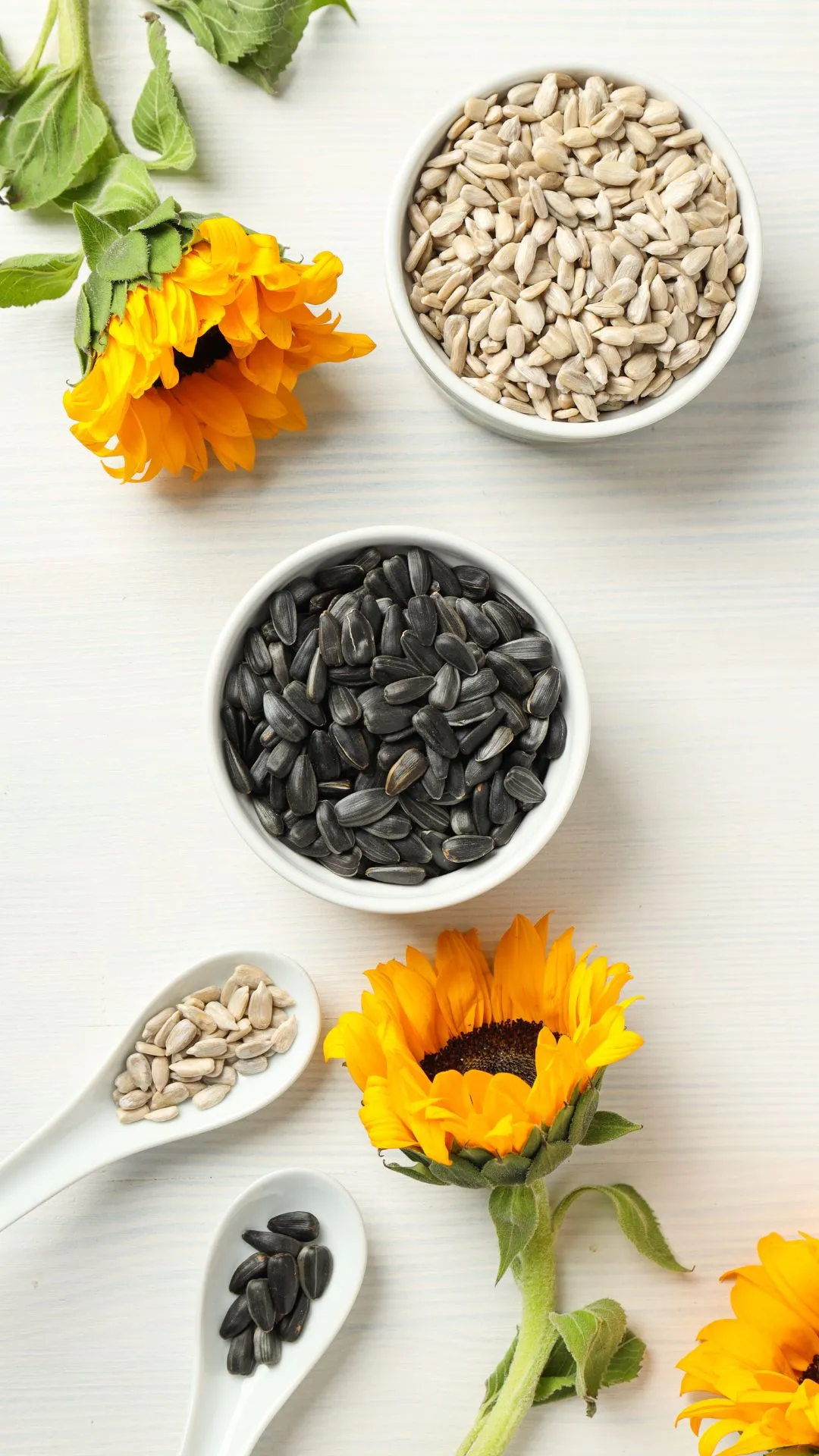 Should you soak sunflower seeds overnight?