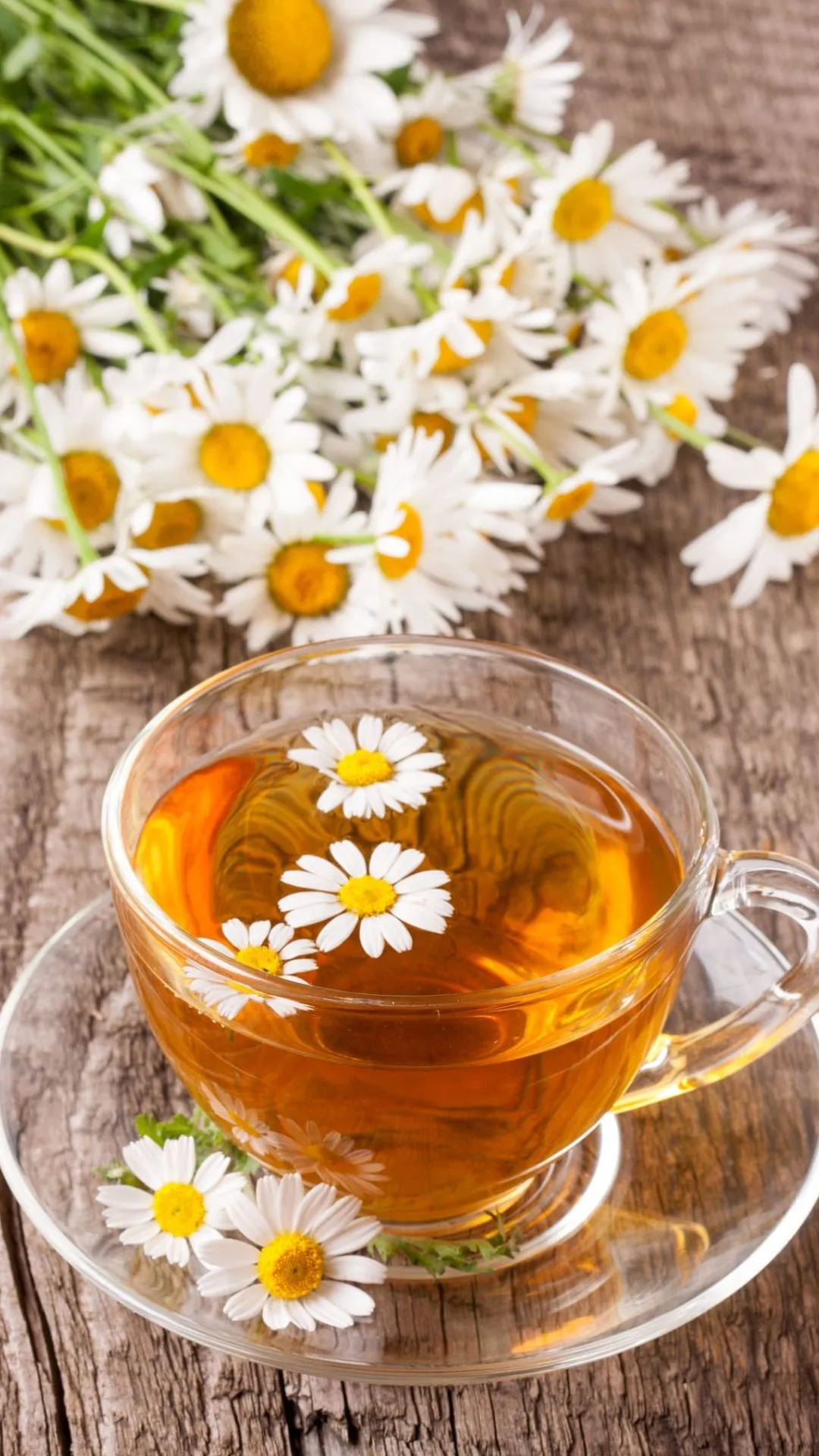 5 reasons why chamomile tea should be a part of your routine