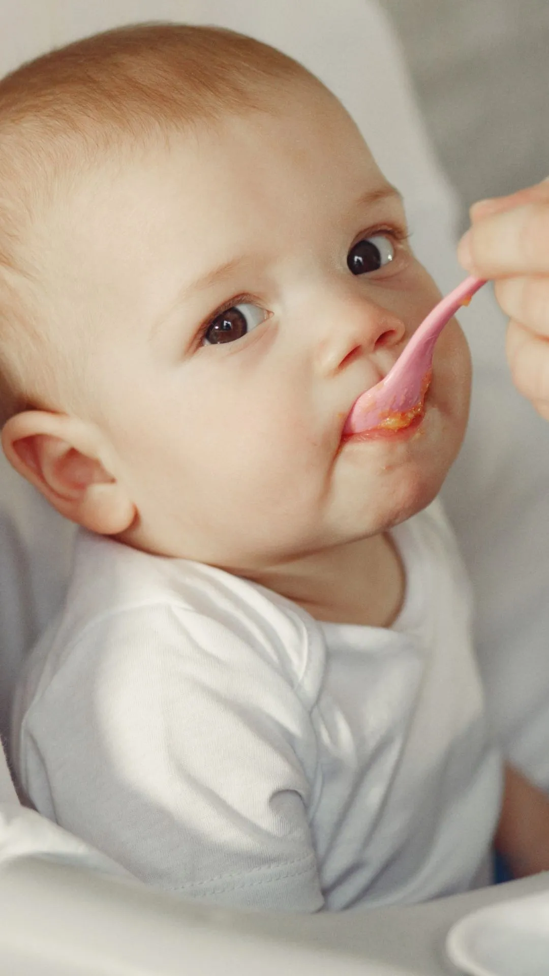 7 millets that can be given to babies