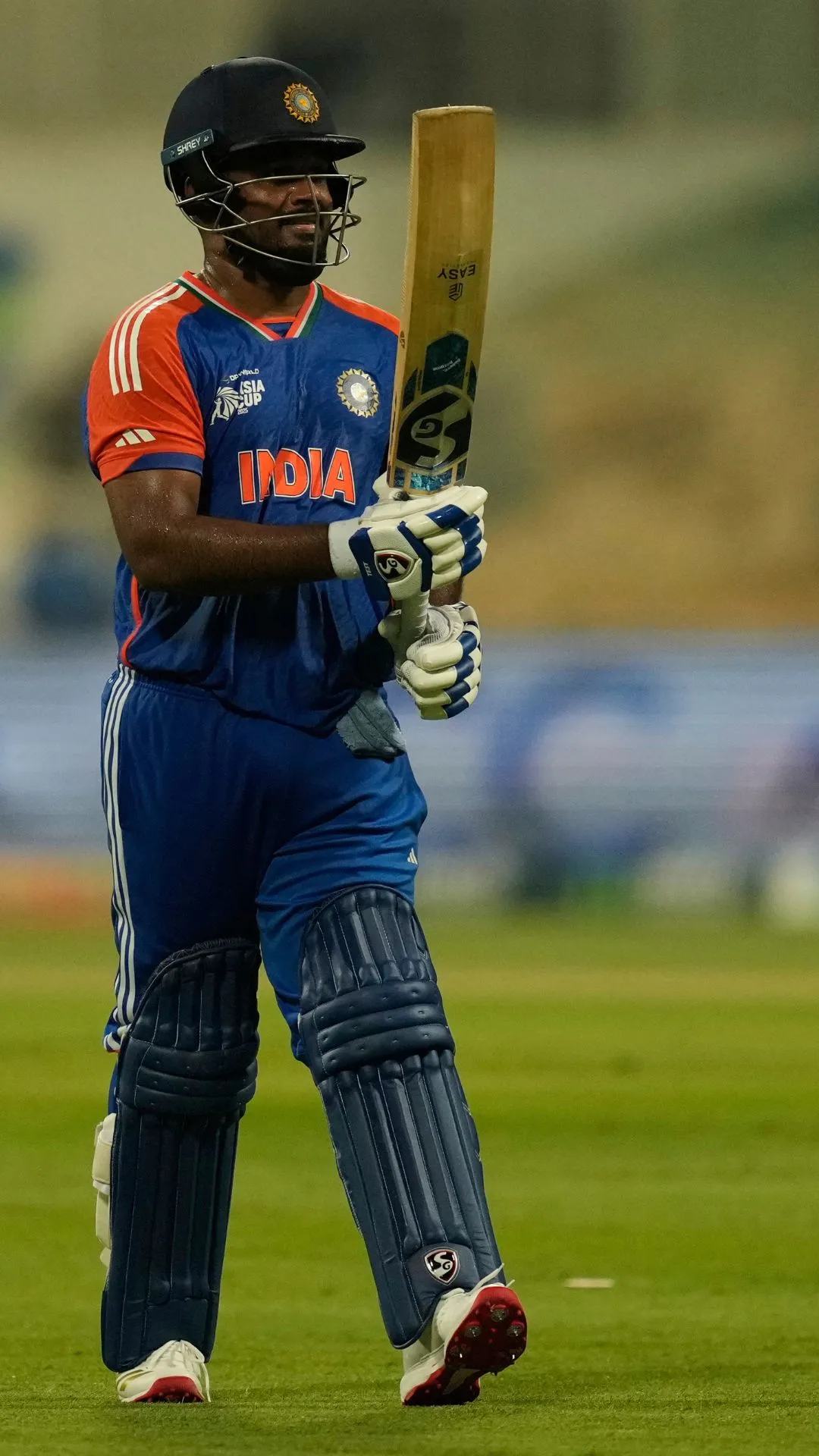 Sanju Samson's special achievements in his career
