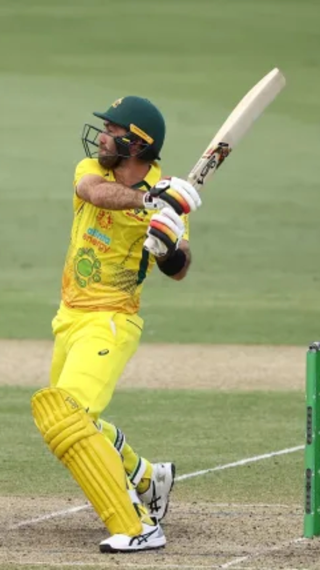 Glenn Maxwell to Marcus Stoinis - Here's list of players with fastest 50s for Australia in T20Is