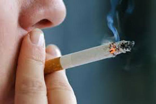 With Larger Health Warnings Itc Resumes Cigarette Production Stocks Surge 24 Pc India Tv 
