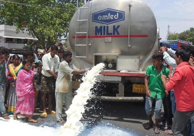 Dairy farmers in Odisha's Bargarh spill 26,000 liter milk as a protest ...